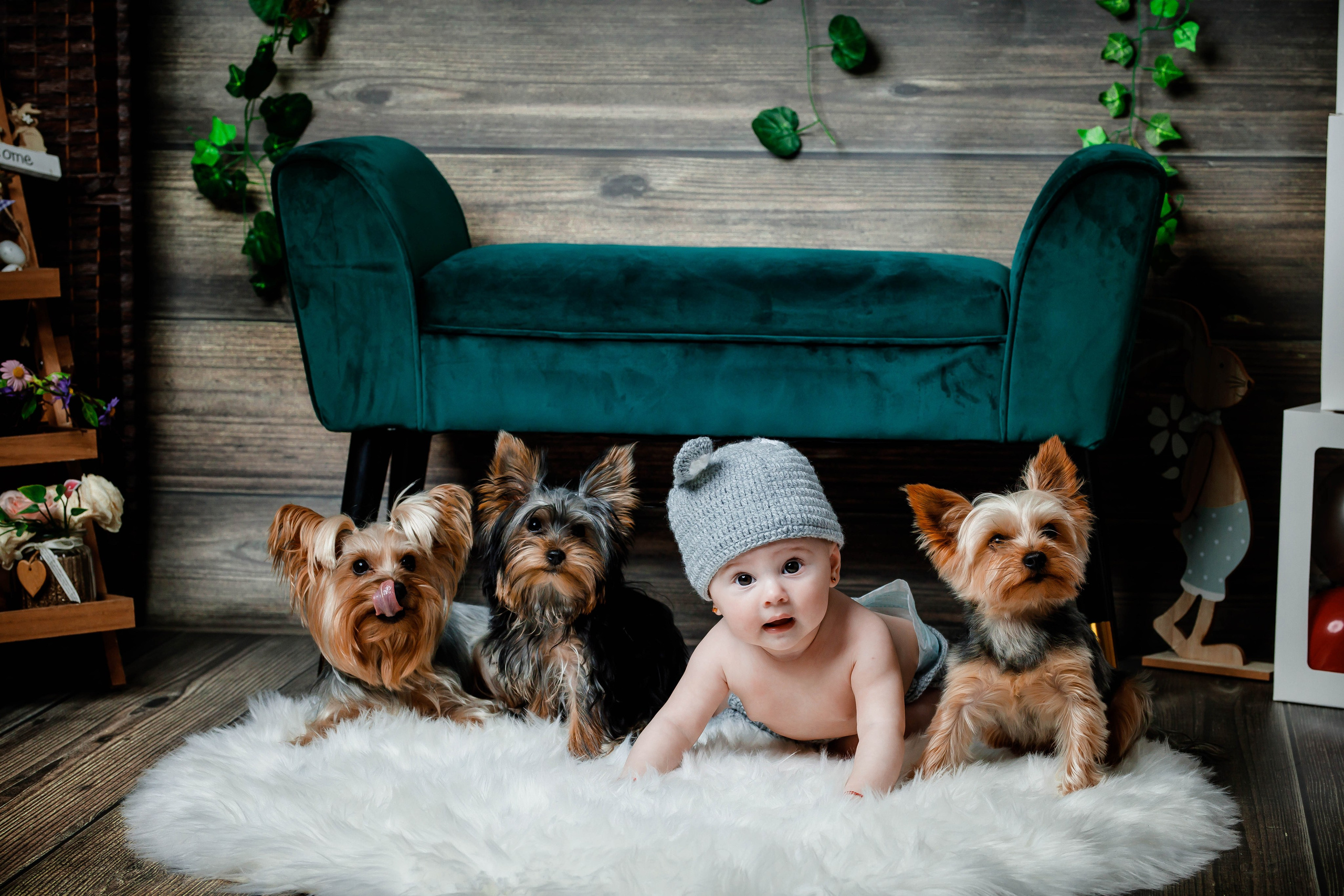 Studio. Dream Studio Galați – ședințe foto profesionale pentru familie, portrete și evenimente