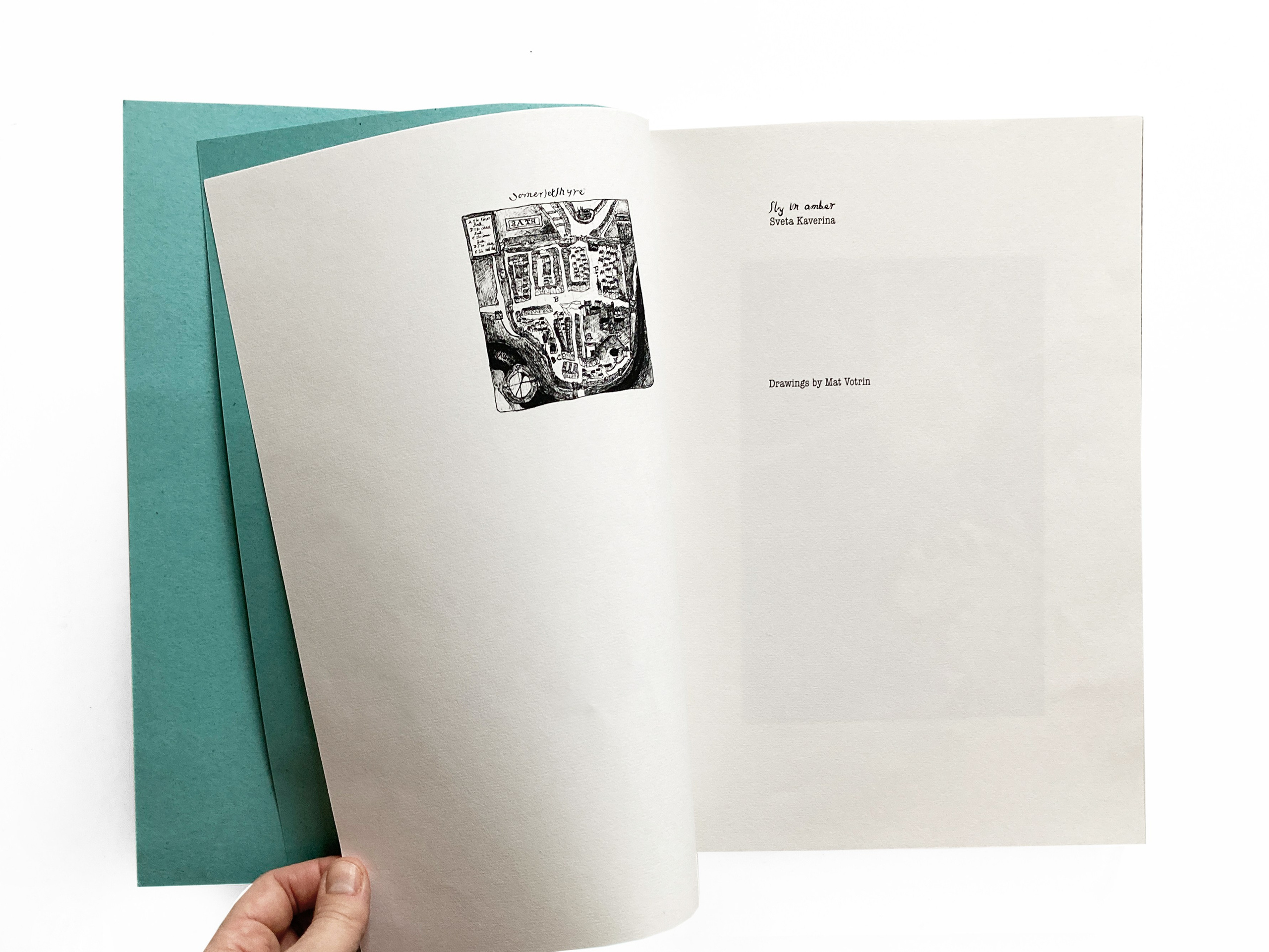 Fly in Amber. Sveta Kaverina