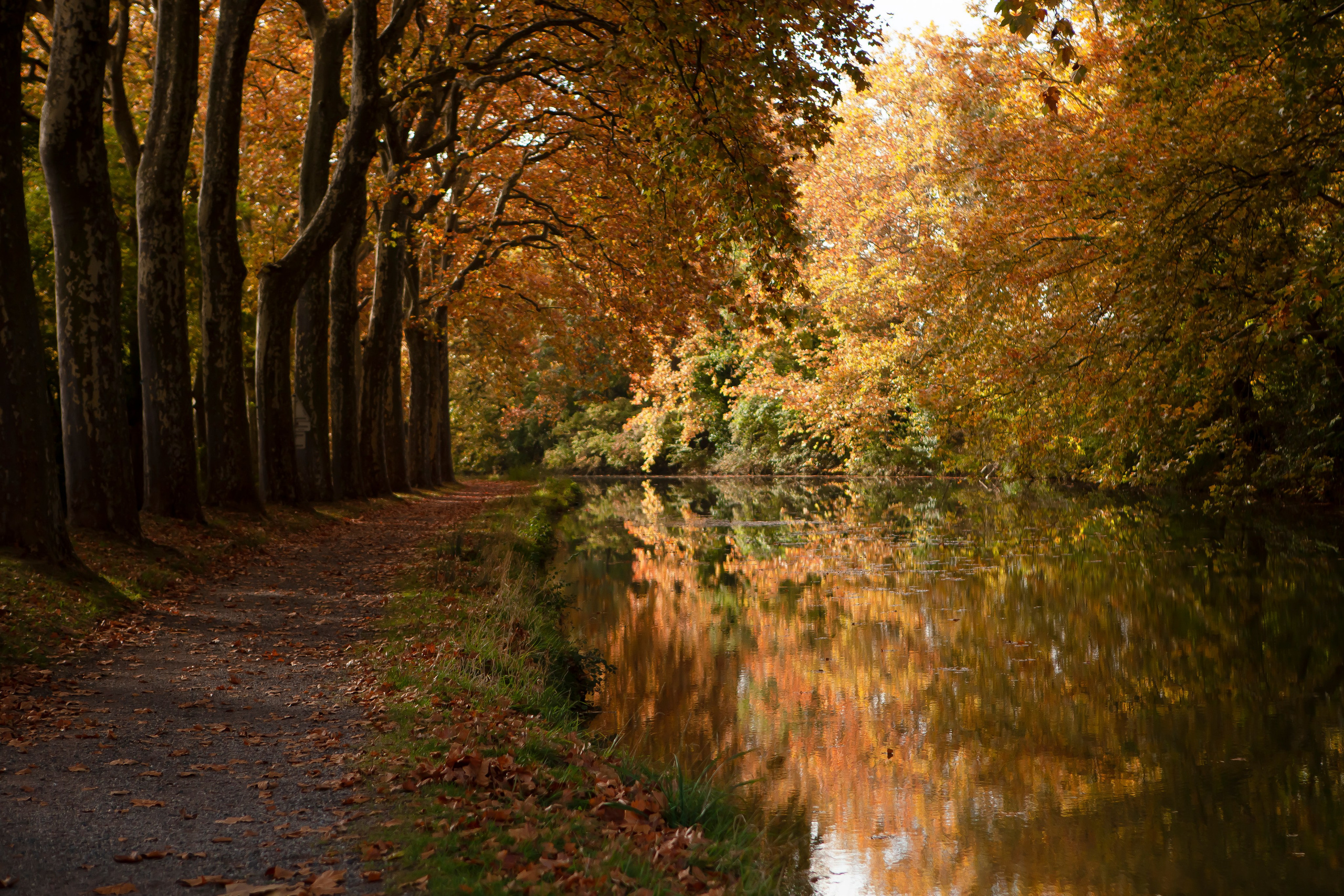 Toulouse. Eugénie Smirnova — Photographe à Toulouse et dans le Sud-Ouest