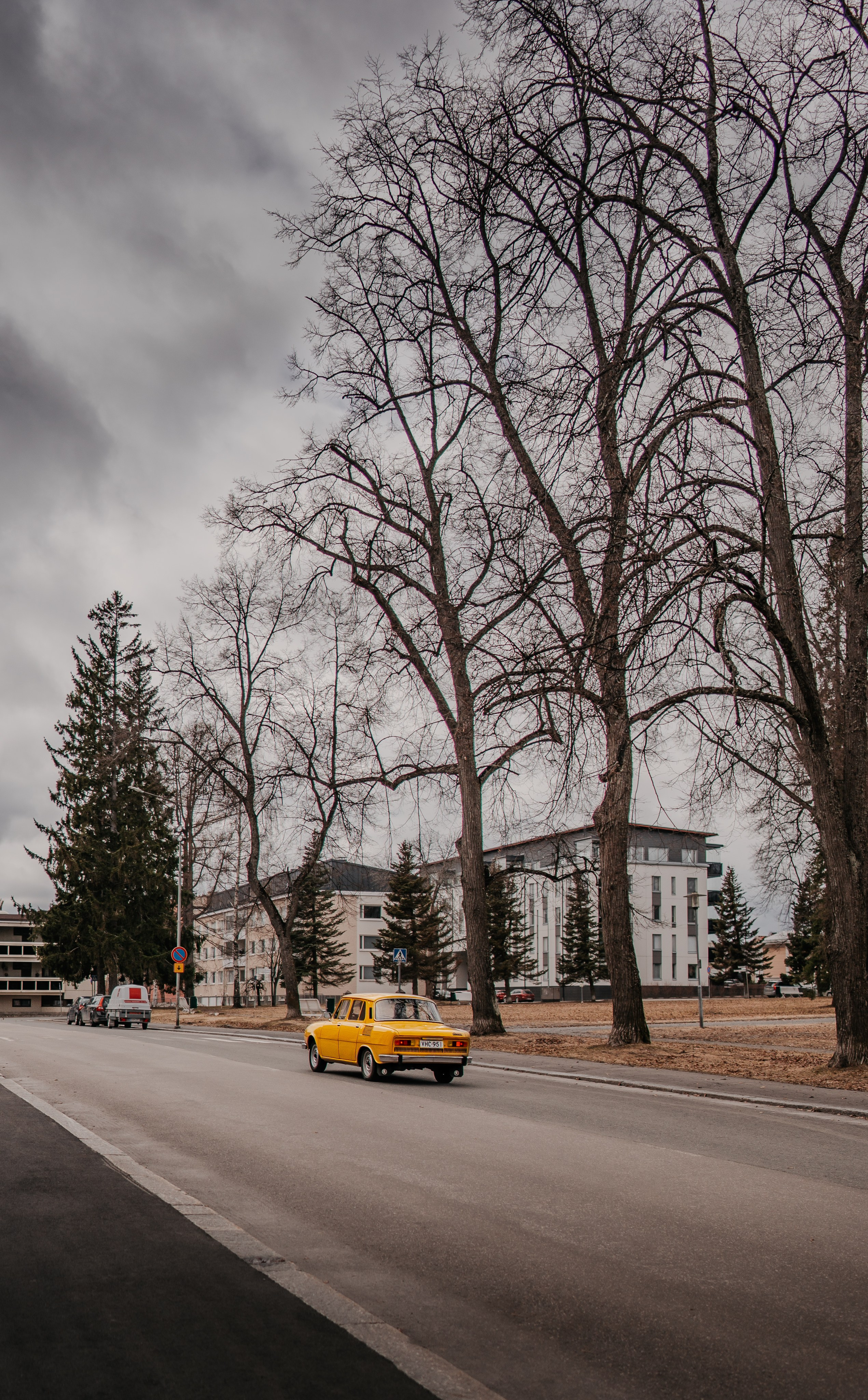 Gallery. Natasha Shakh