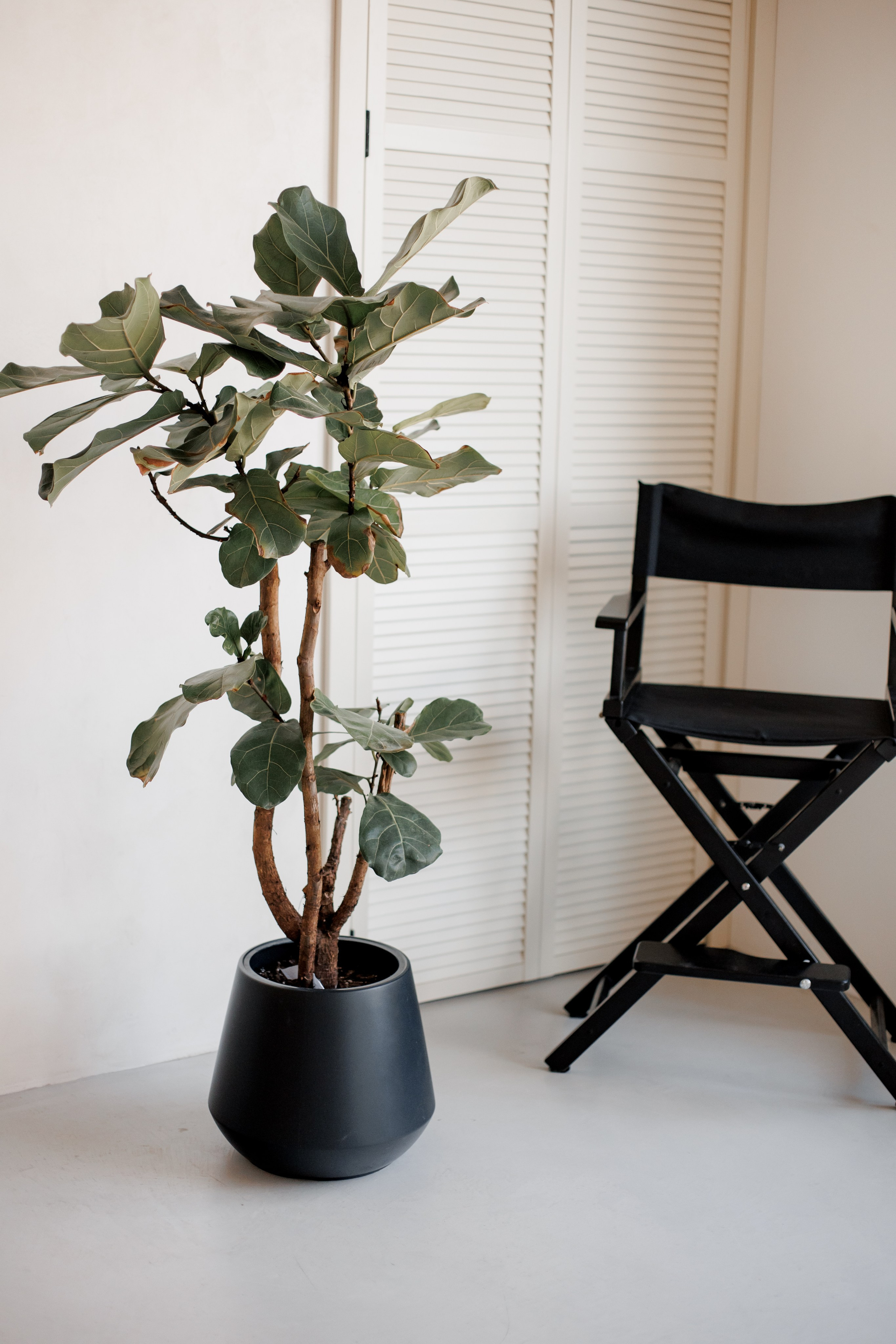 Gretta. Wedding and Family Photograph