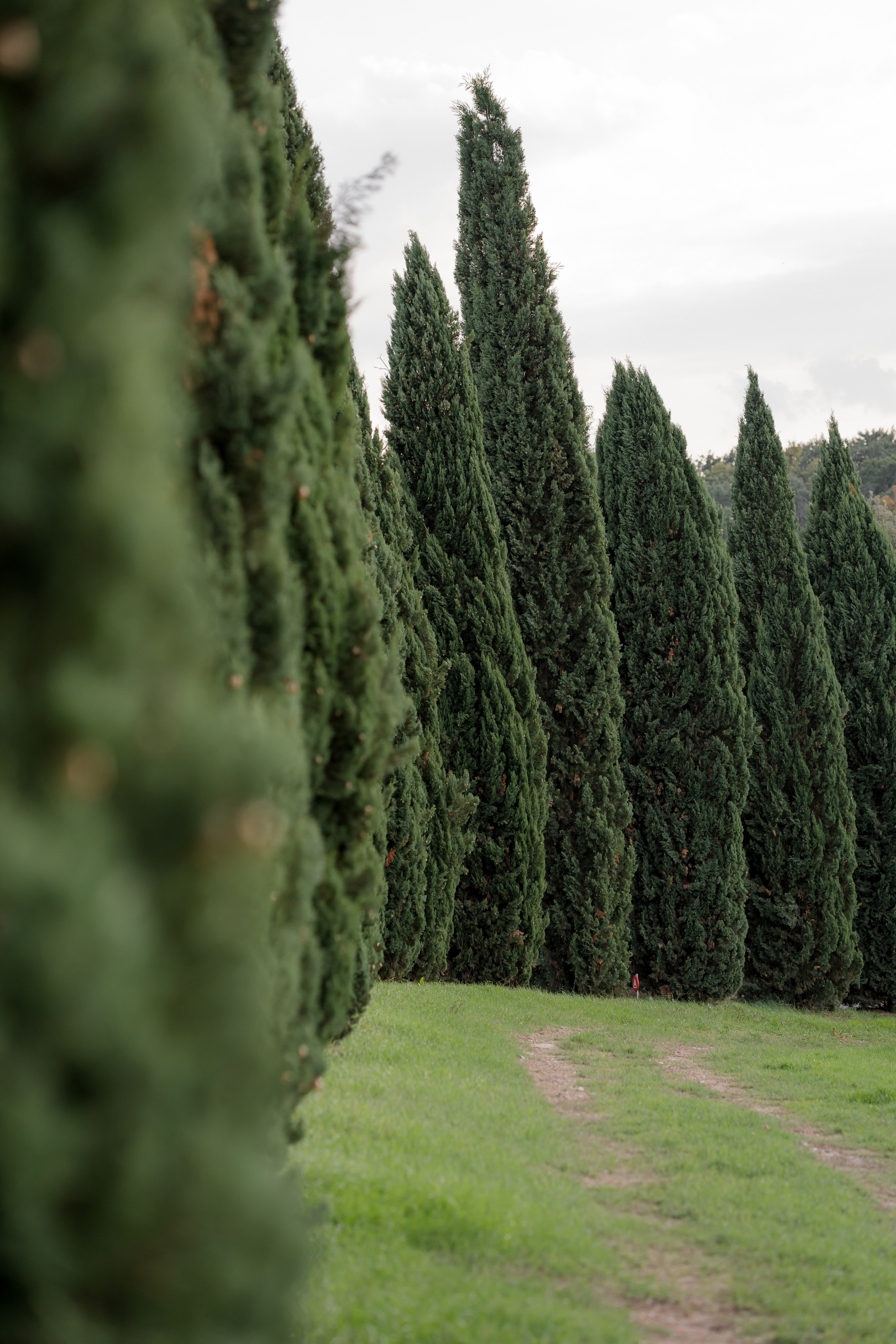 Dom&Ally. Wedding photographer Italy