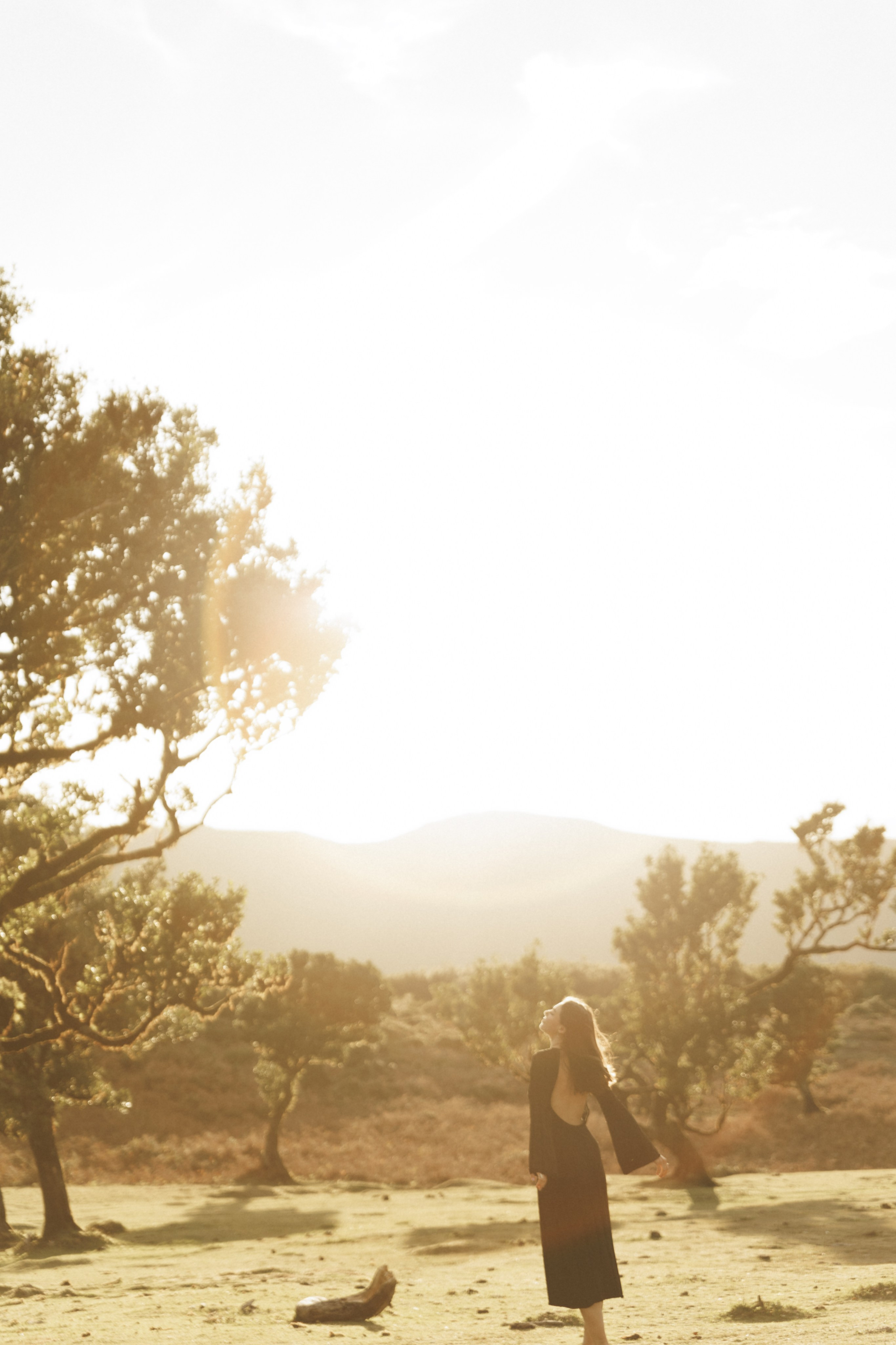 Lost in Madeira. Patricia Morenci — Mountain Adventures for the Wild at Heart