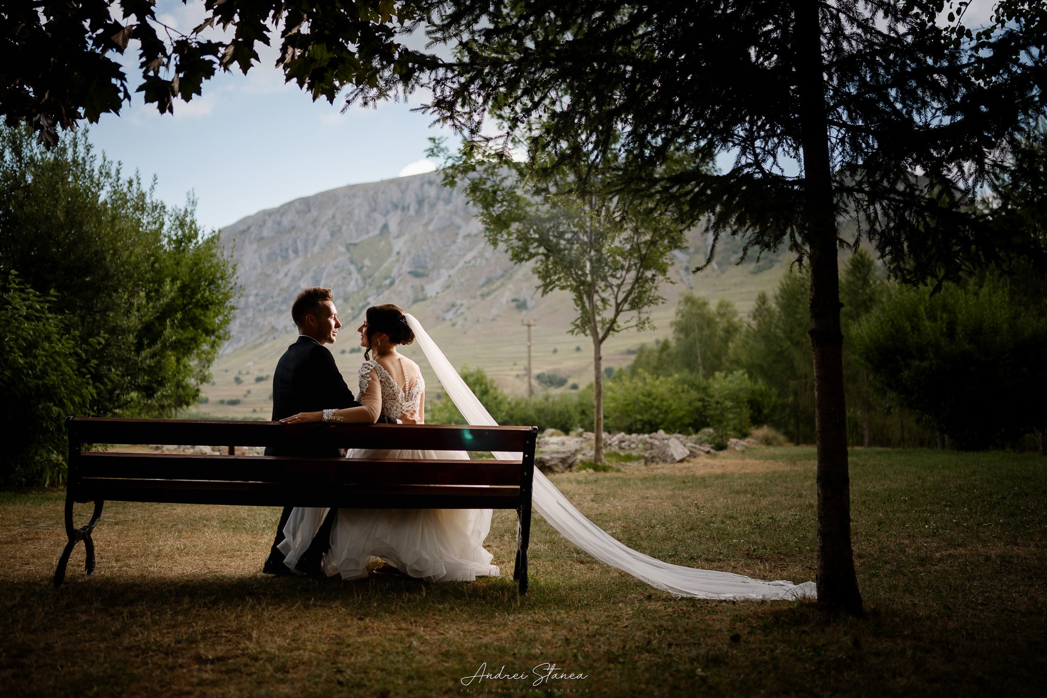 Portofolio. Andrei Stanea