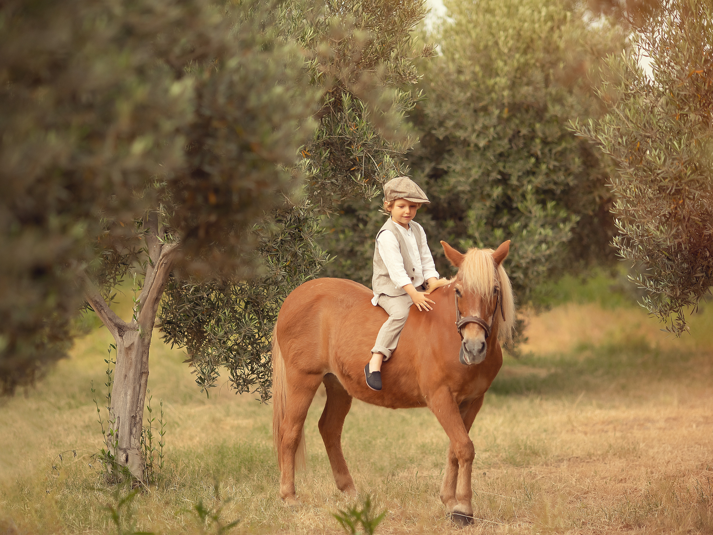 Contacto. Fotógrafo Almeria. Swetlana Ushakova