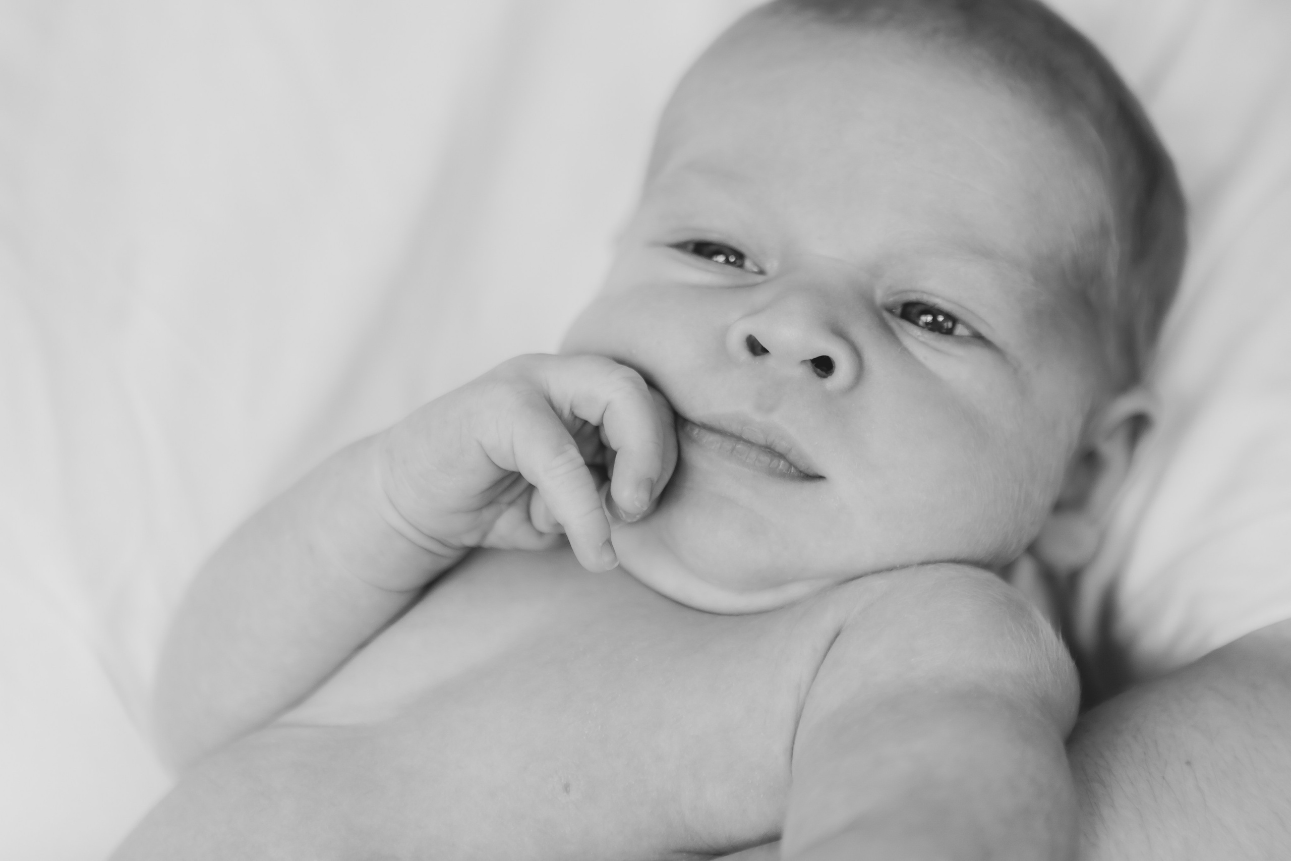 Kleiner Schatz. Adelya Tomin