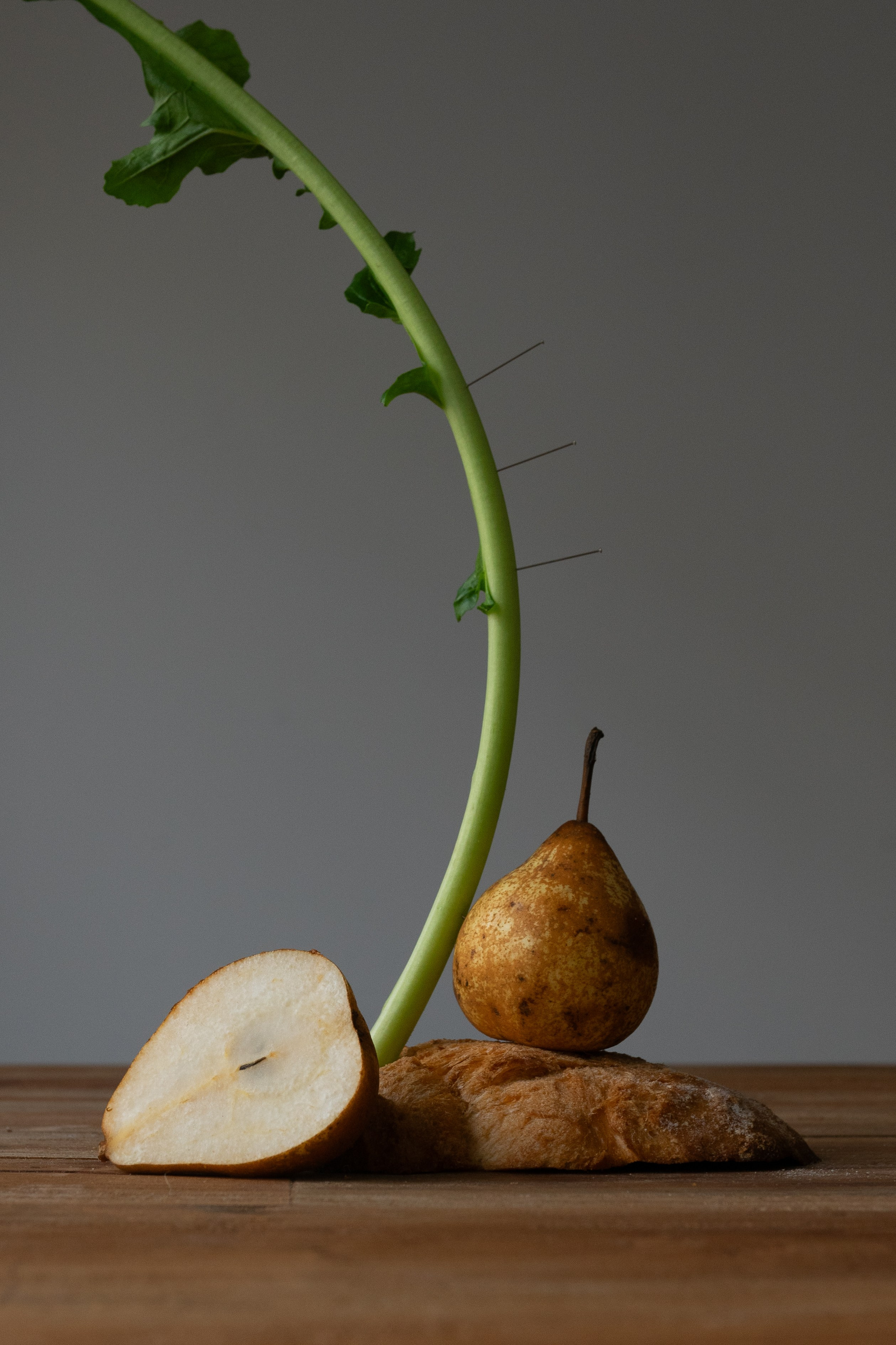 Roots. Мария Шер. Профессиональный фотограф в городе Порту, Португалия