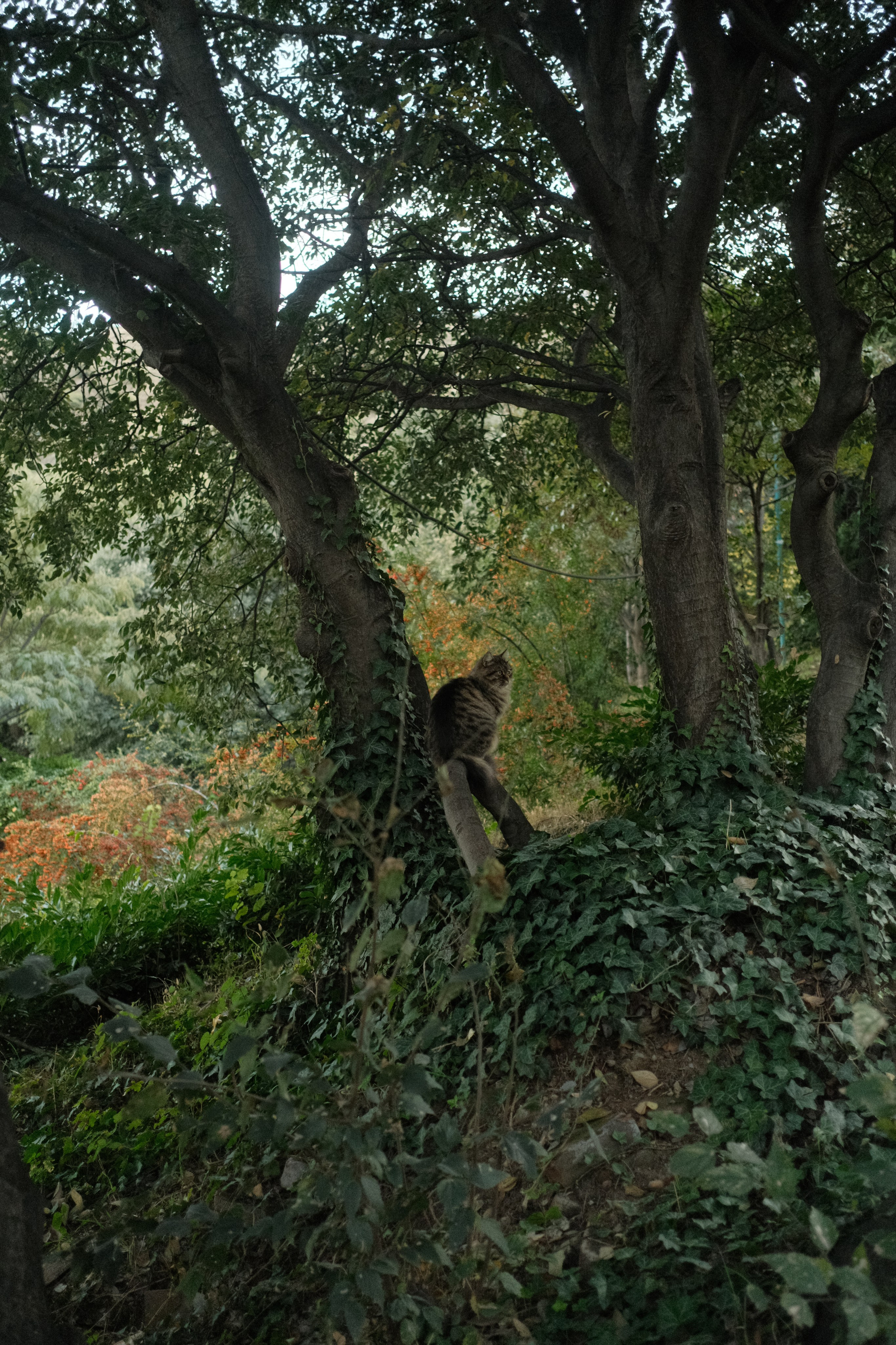 Georgia. Nikita Pavlov, Photographer — Vienna, Austria