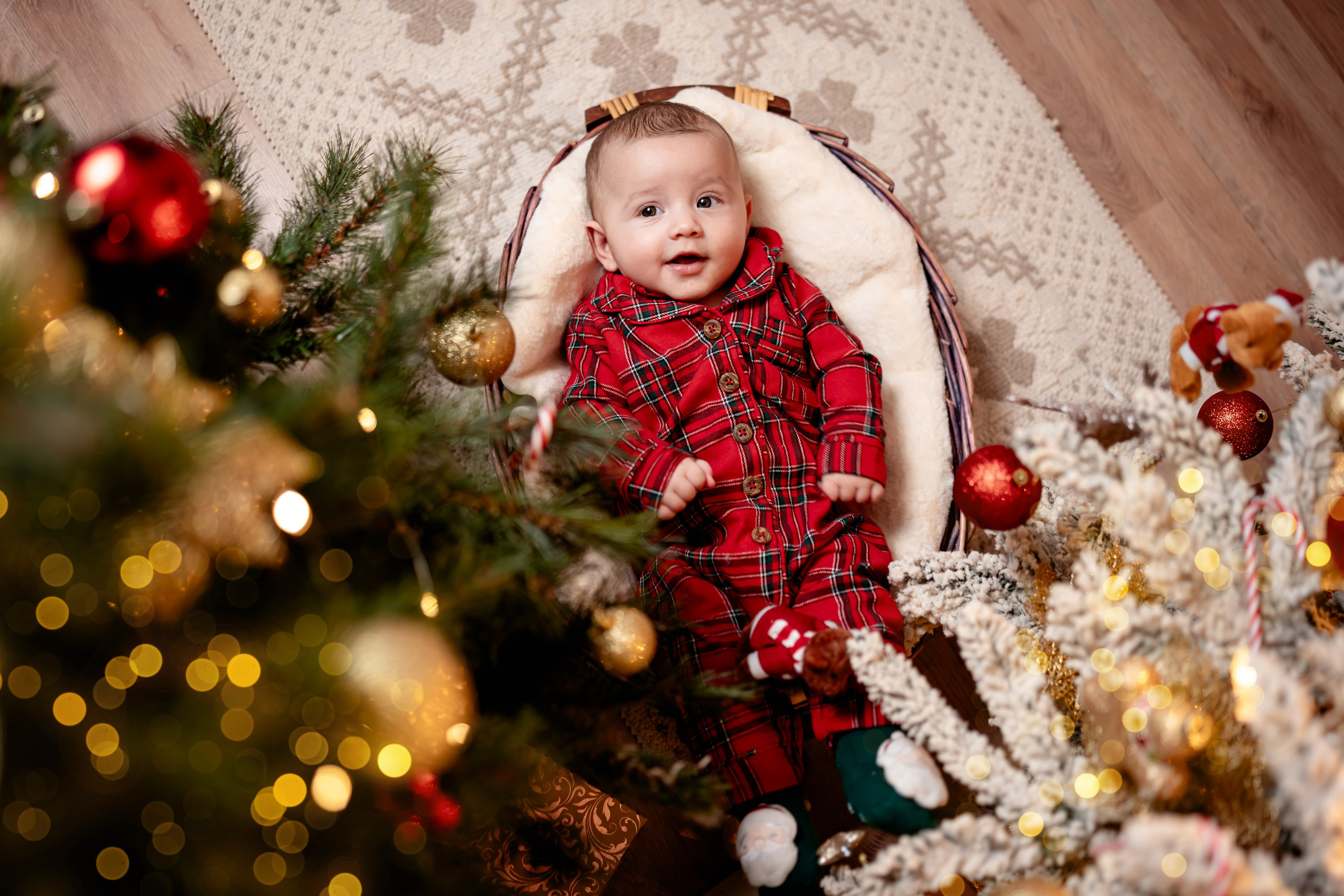 Sedinte foto Craciun. Avram Madalina Photography