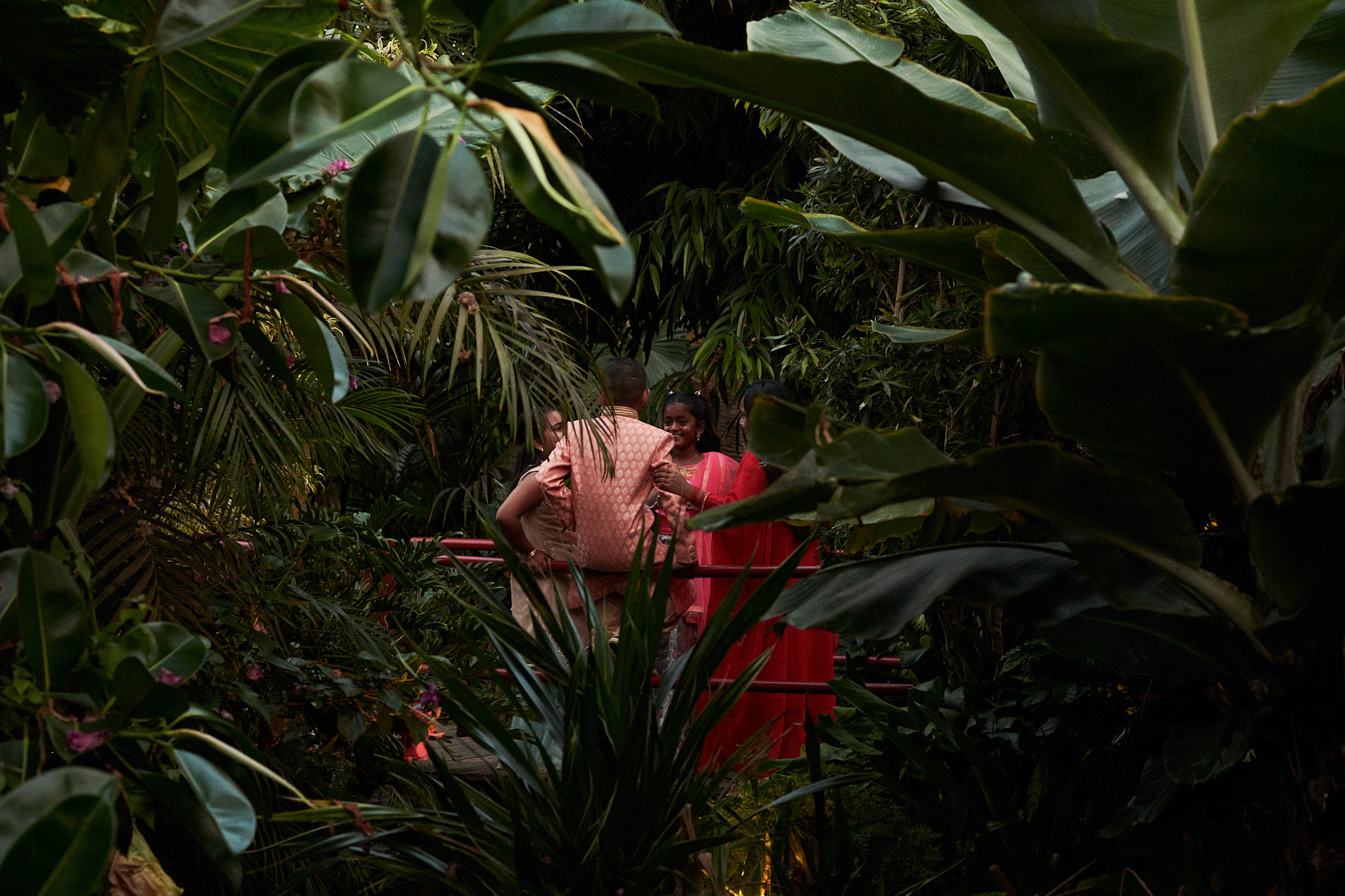 Hindoestaanse bruiloften in Amsterdam. Portret, trouw en familie fotograaf in Amsterdam en Almere