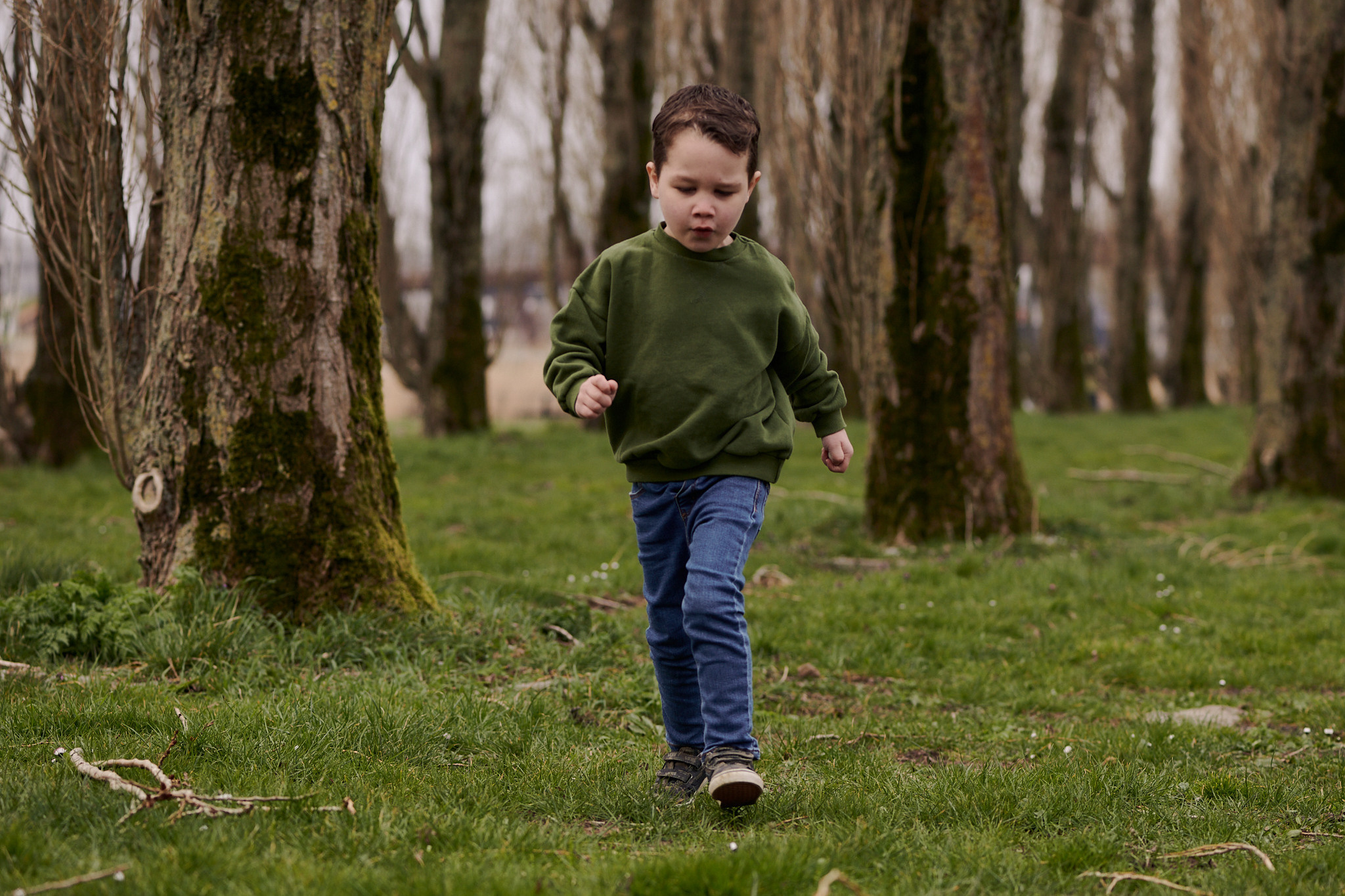 Gezinsfotoshoot in de groene kathedraal. Portret, trouw en familie fotograaf in Amsterdam en Almere