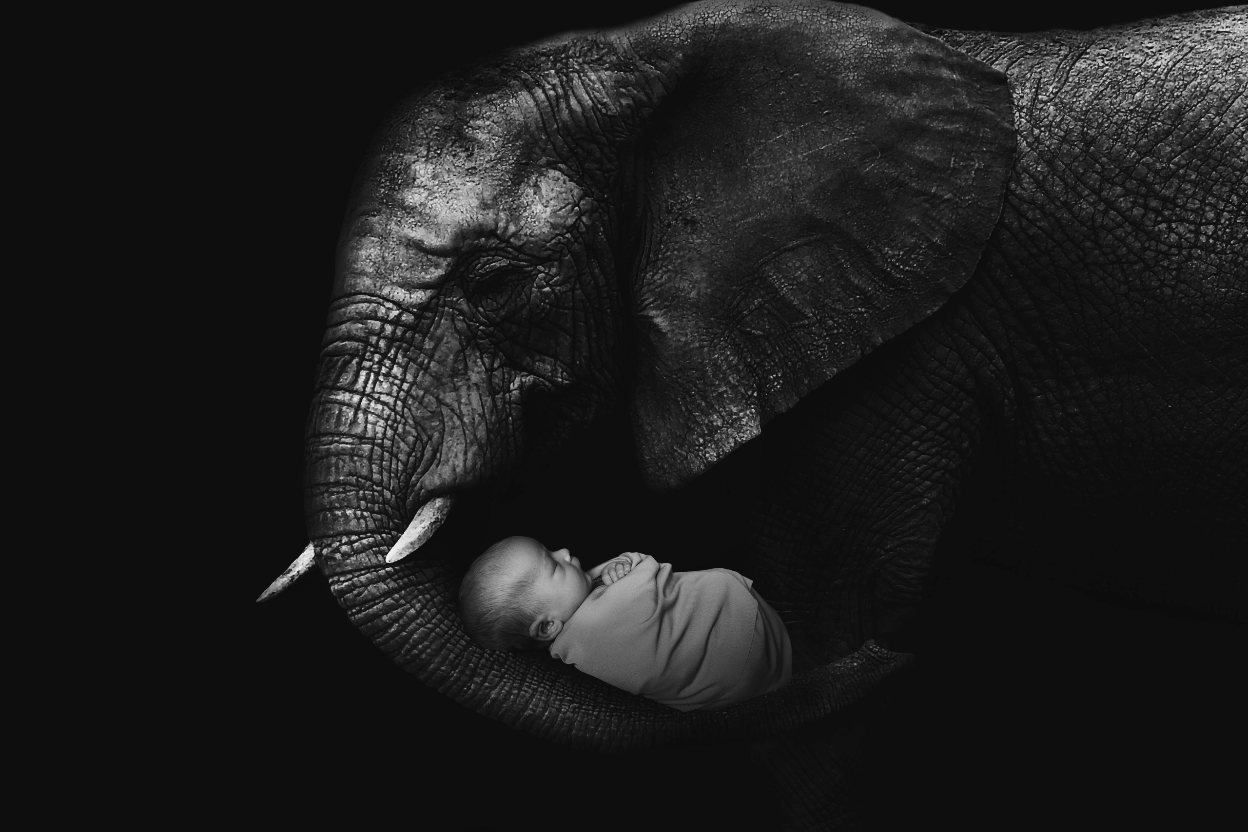 Jasper. Maternity Newborn and Family photographer Hamburg Claire Hambley