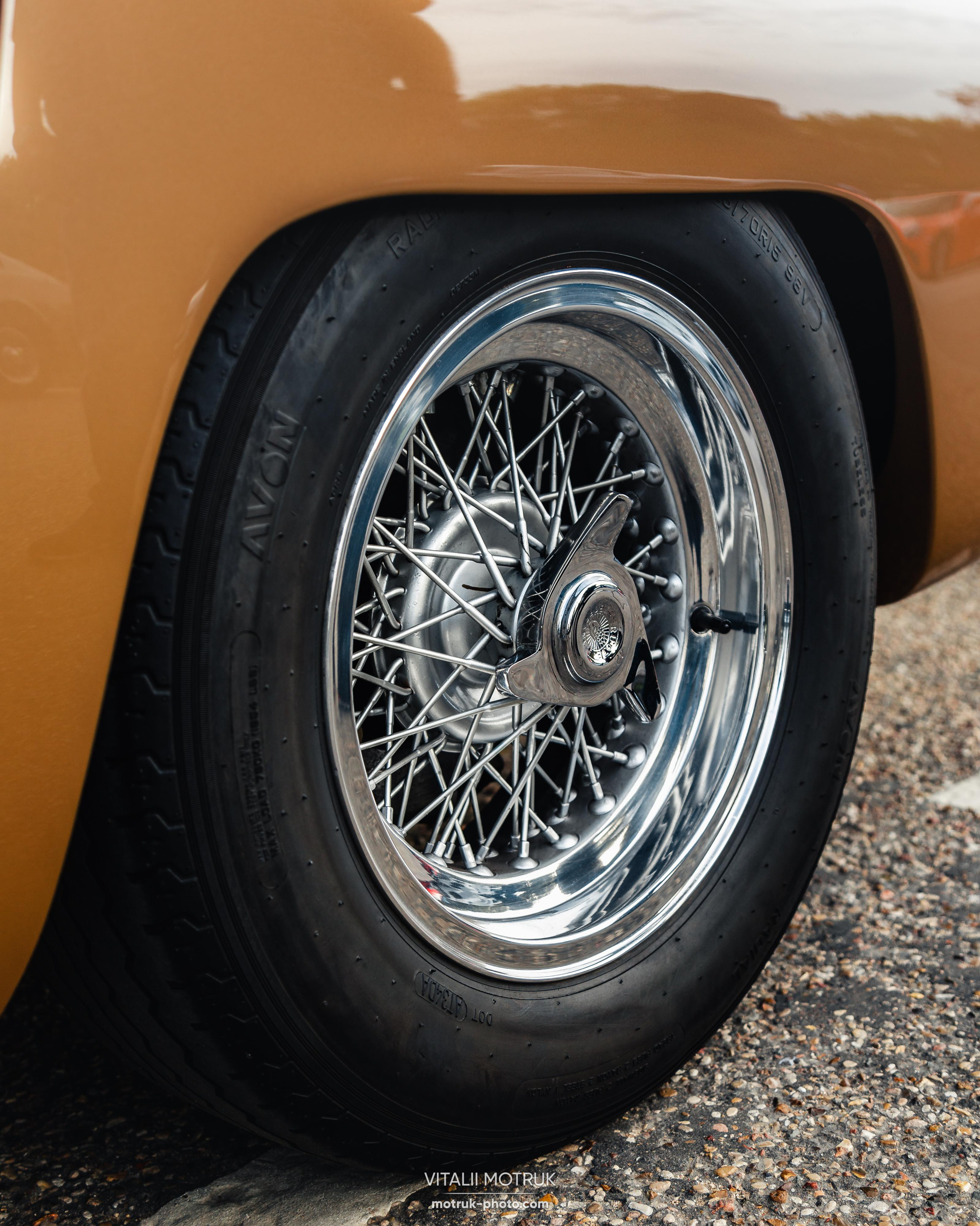 Rassamblement a l’Auteuil. Photographer in Paris — Vitalii Motruk