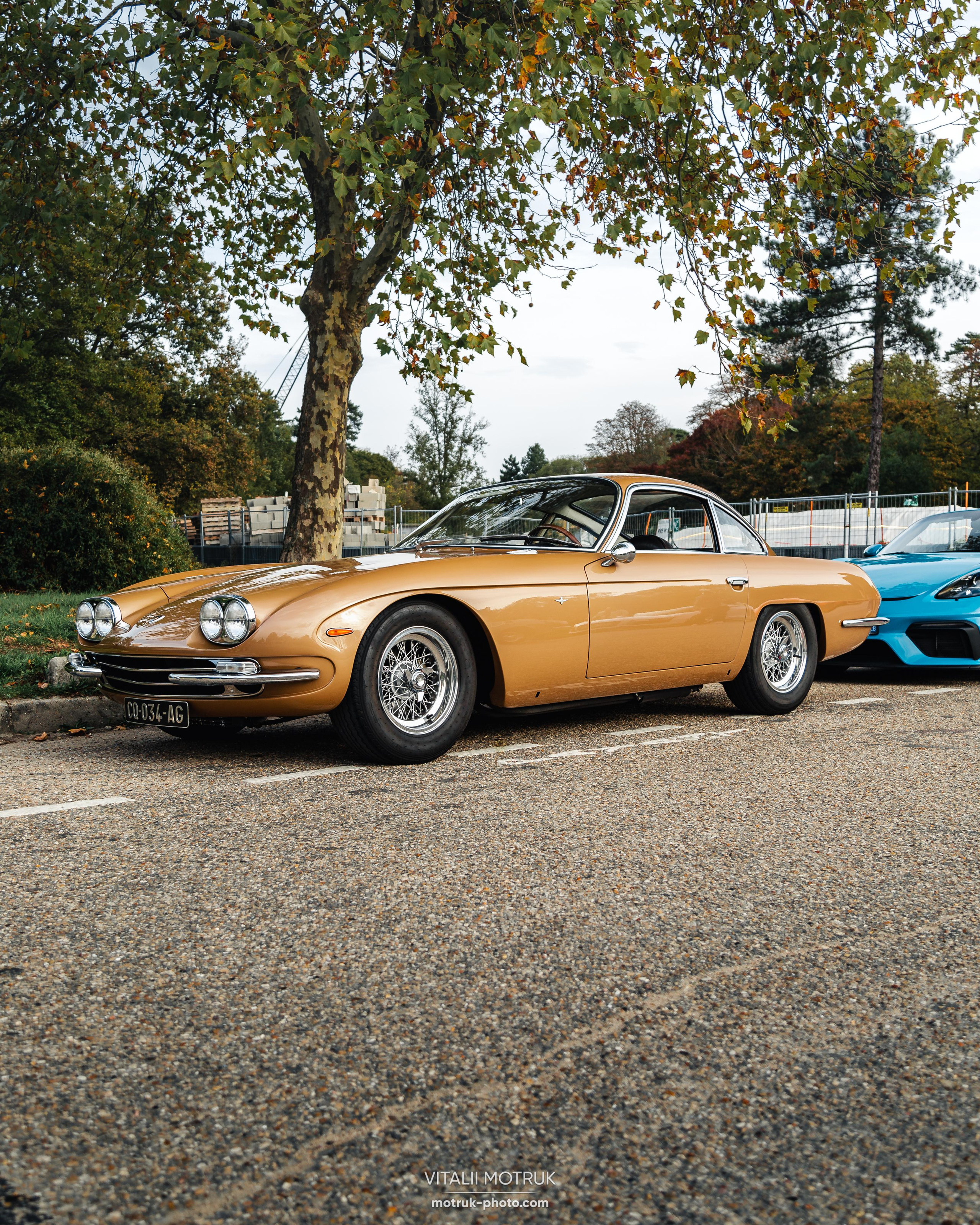 Rassamblement a l’Auteuil. Photographer in Paris — Vitalii Motruk