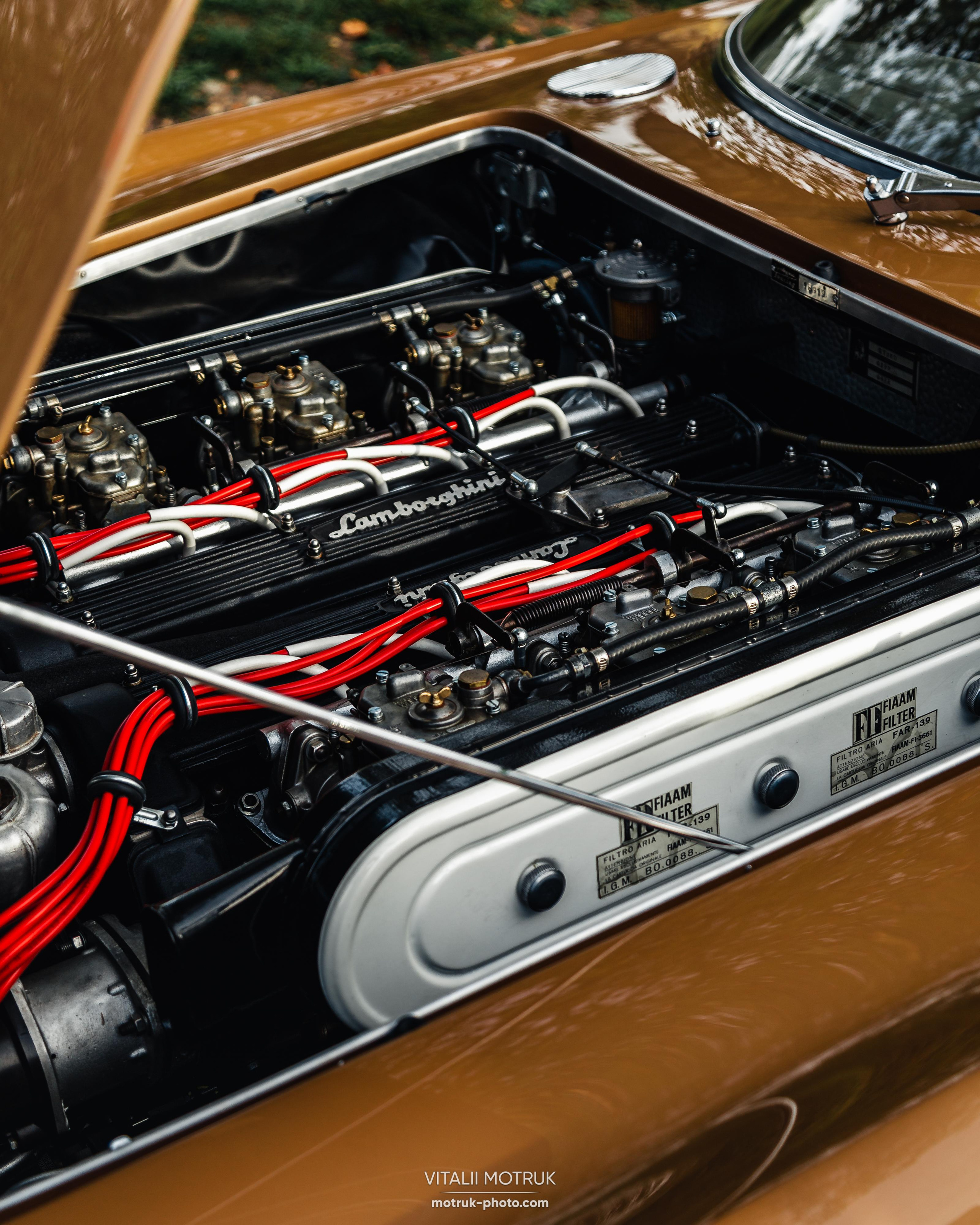 Rassamblement a l’Auteuil. Photographer in Paris — Vitalii Motruk