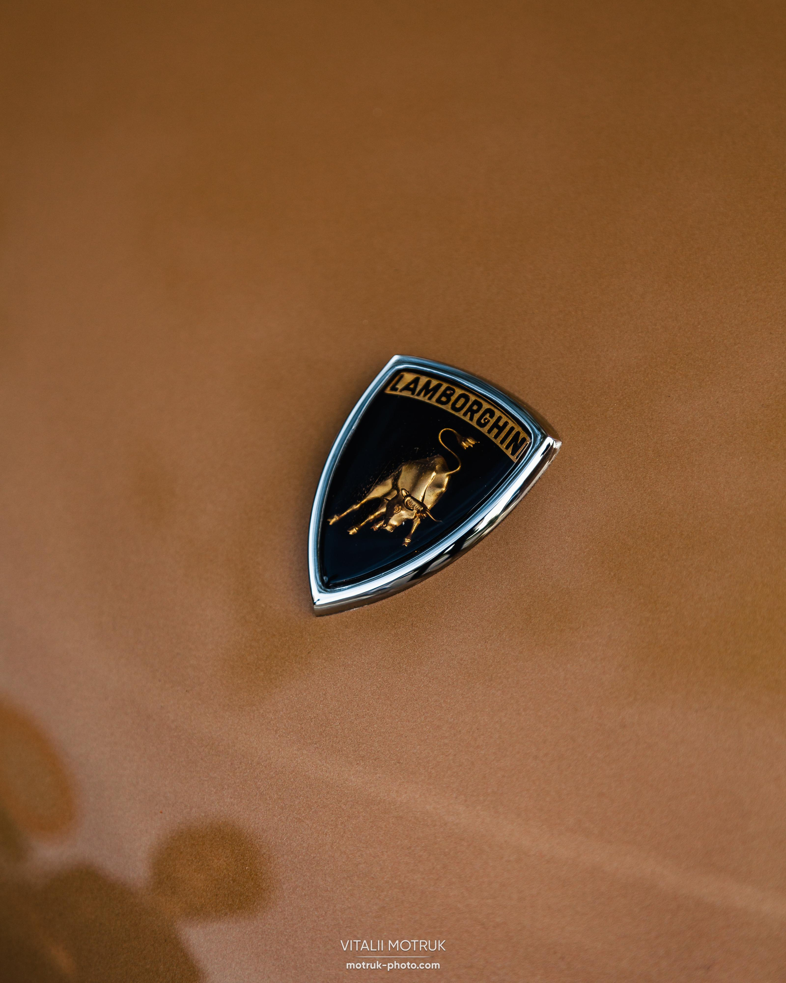 Rassamblement a l’Auteuil. Photographer in Paris — Vitalii Motruk