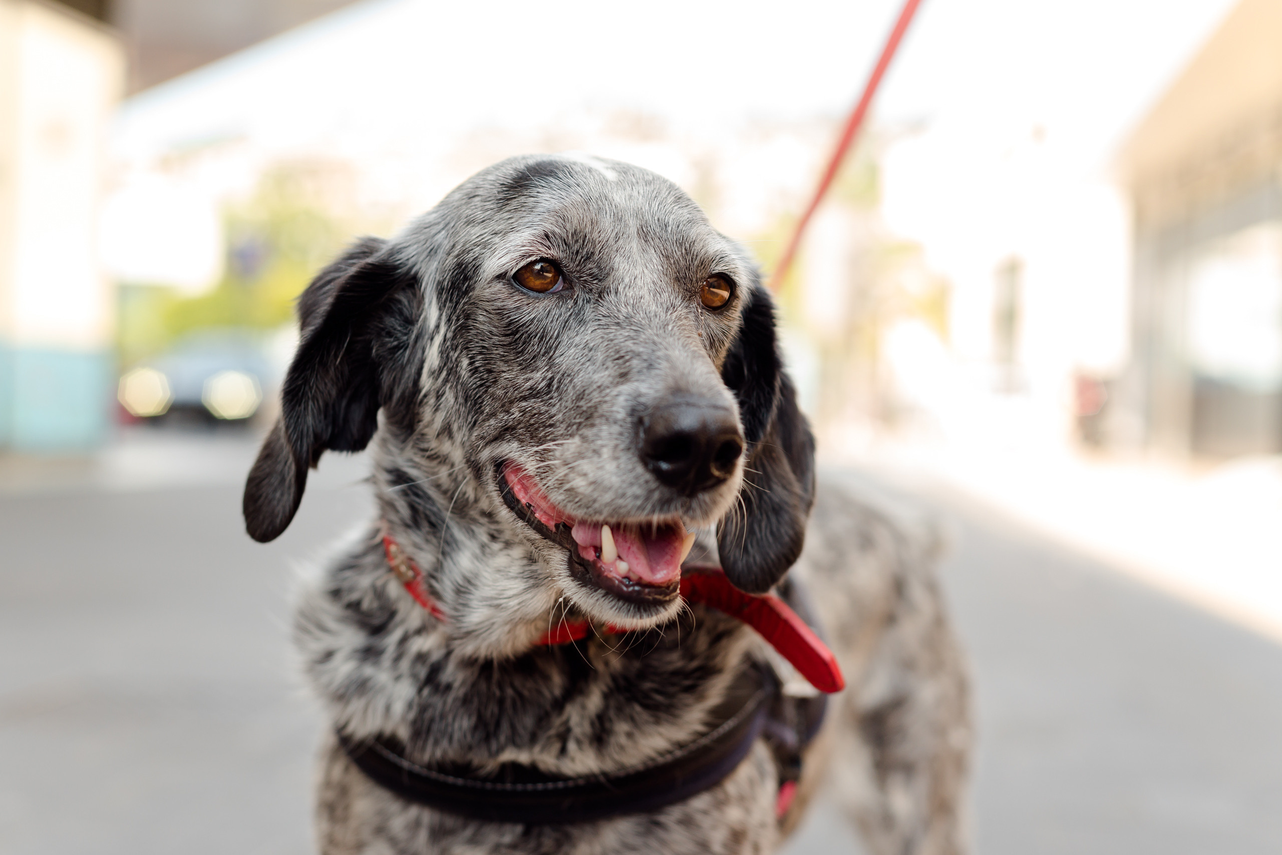 One day in Nice. Family H&T. MARIA VALUEVA Photographer in Nice, Cannes, Monaco, France, Europe, Istanbul, Turkey