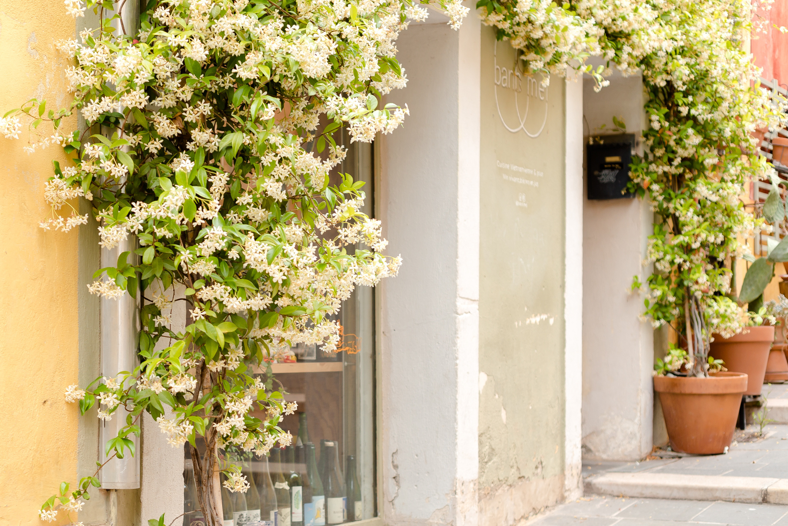 One day in Nice. Family H&T. MARIA VALUEVA Photographer in Nice, Cannes, Monaco, France, Europe, Istanbul, Turkey