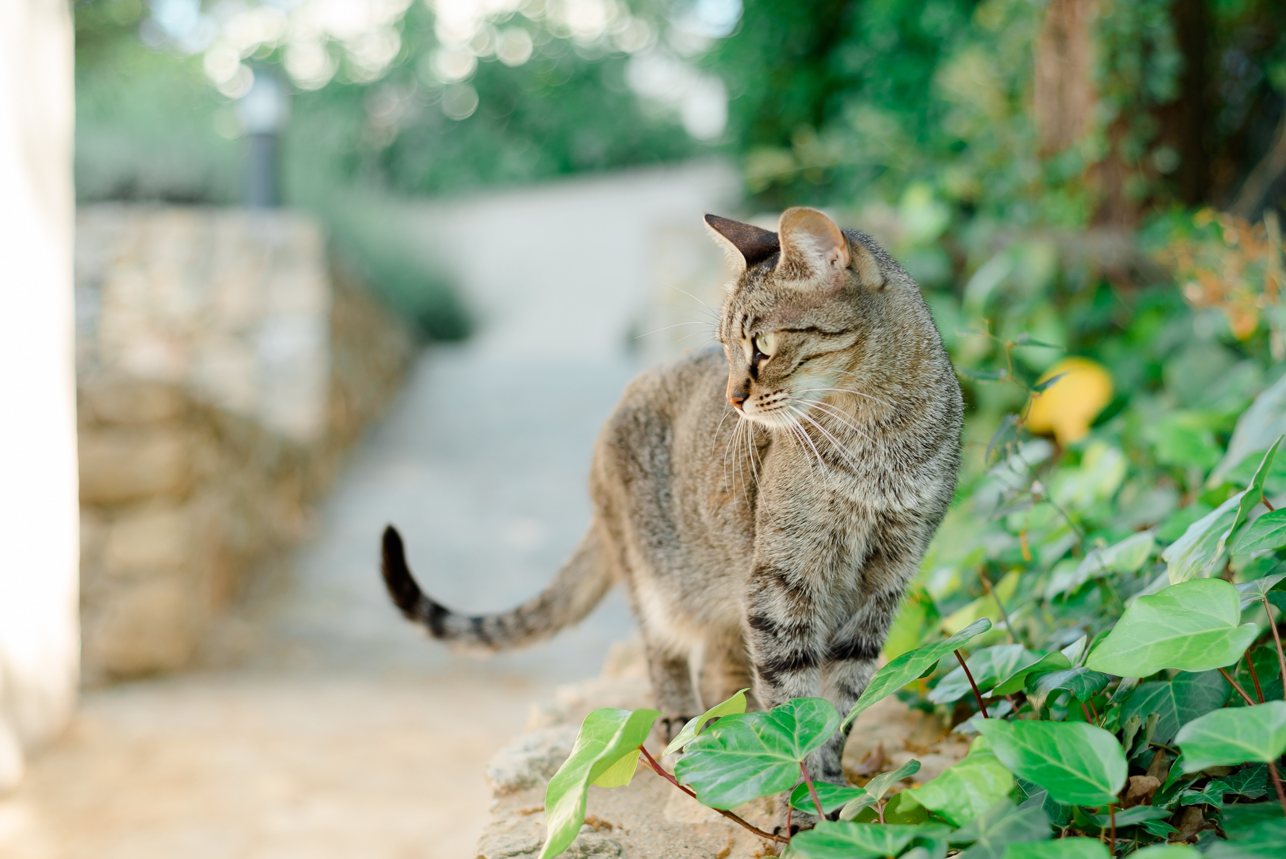 K&B. MARIA VALUEVA Photographer in Nice, Cannes, Monaco, France, Europe, Istanbul, Turkey