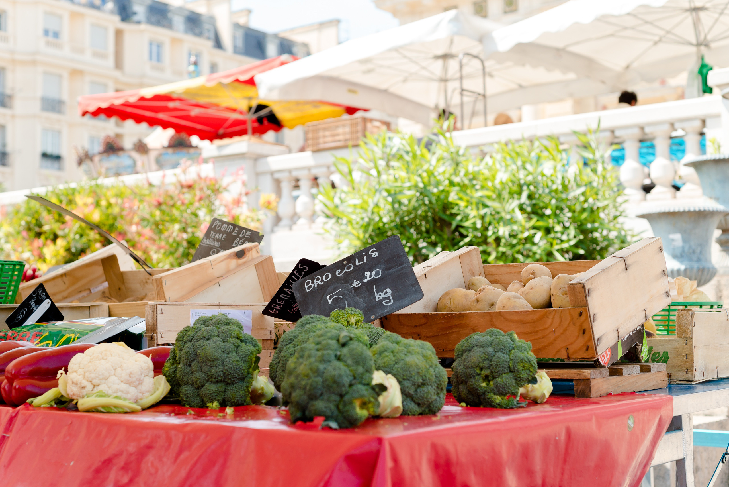 One day in Nice. Family H&T. MARIA VALUEVA Photographer in Nice, Cannes, Monaco, France, Europe, Istanbul, Turkey
