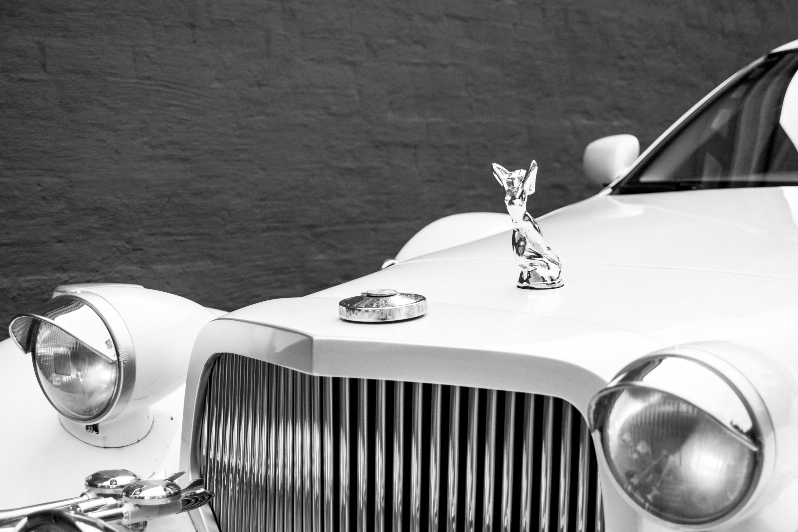 K&V. MARIA VALUEVA Fotógrafo en Niza, Cannes, Monaco, Francia, Europe, Estambul, Turquía