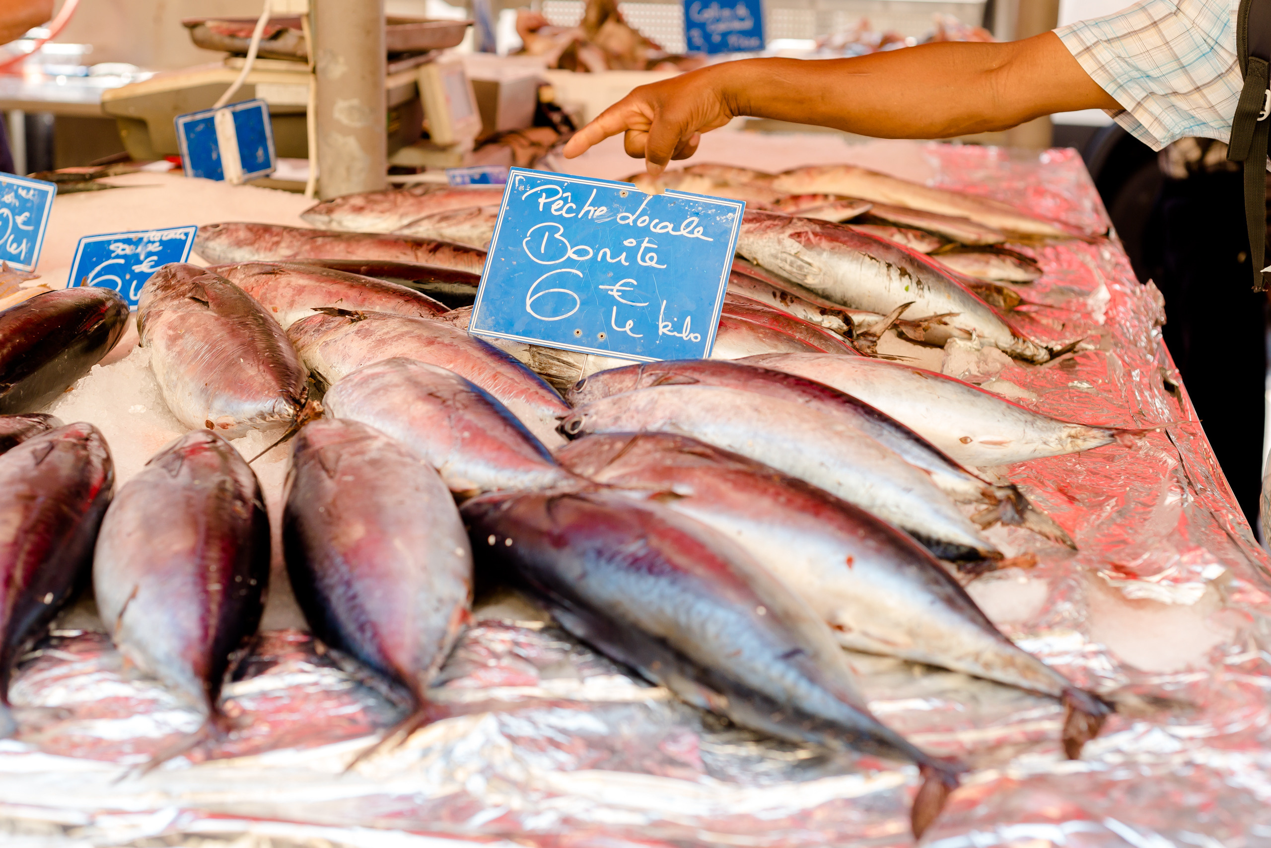 One day in Nice. Family H&T. MARIA VALUEVA Photographer in Nice, Cannes, Monaco, France, Europe, Istanbul, Turkey