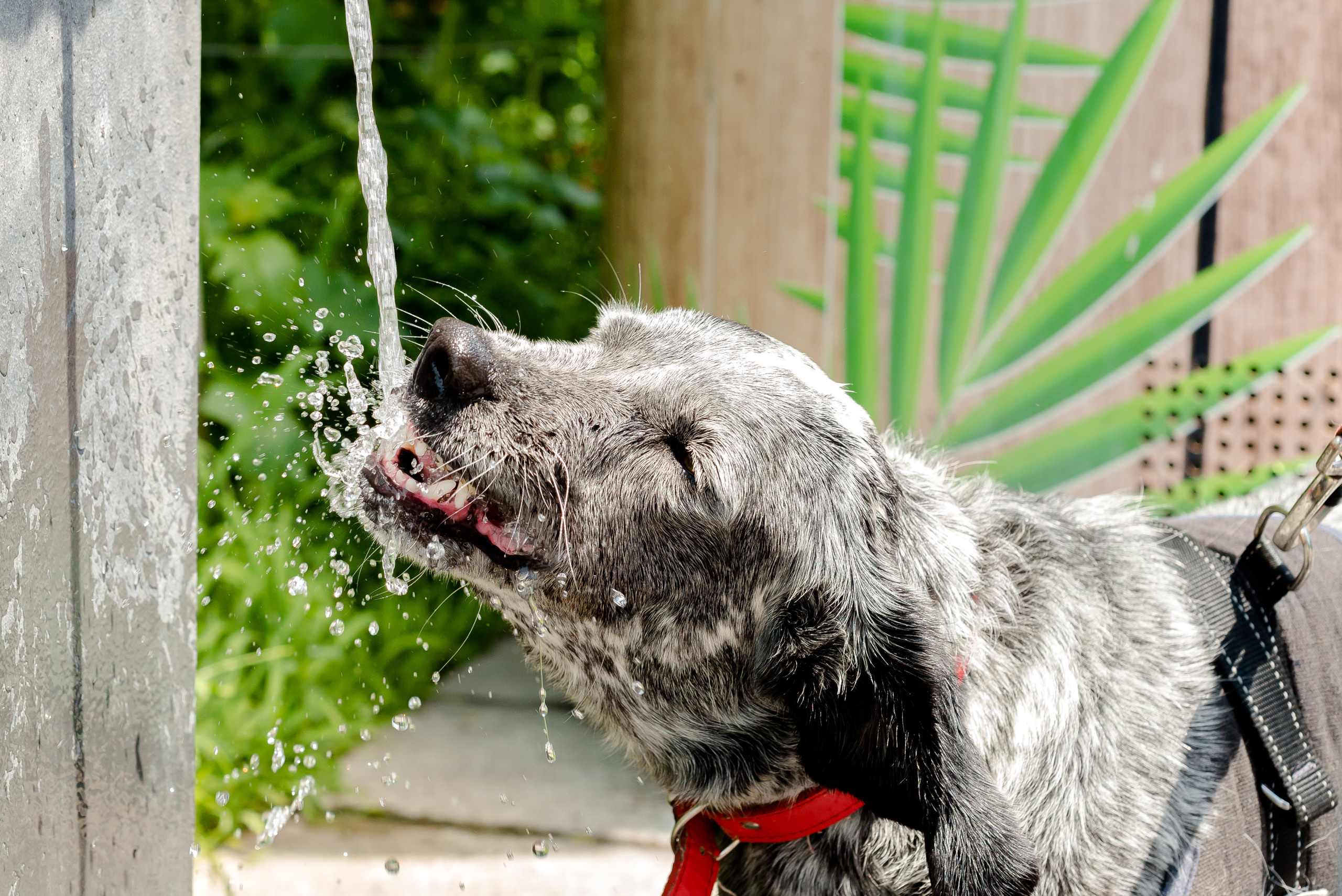One day in Nice. Family H&T. MARIA VALUEVA Photographer in Nice, Cannes, Monaco, France, Europe, Istanbul, Turkey