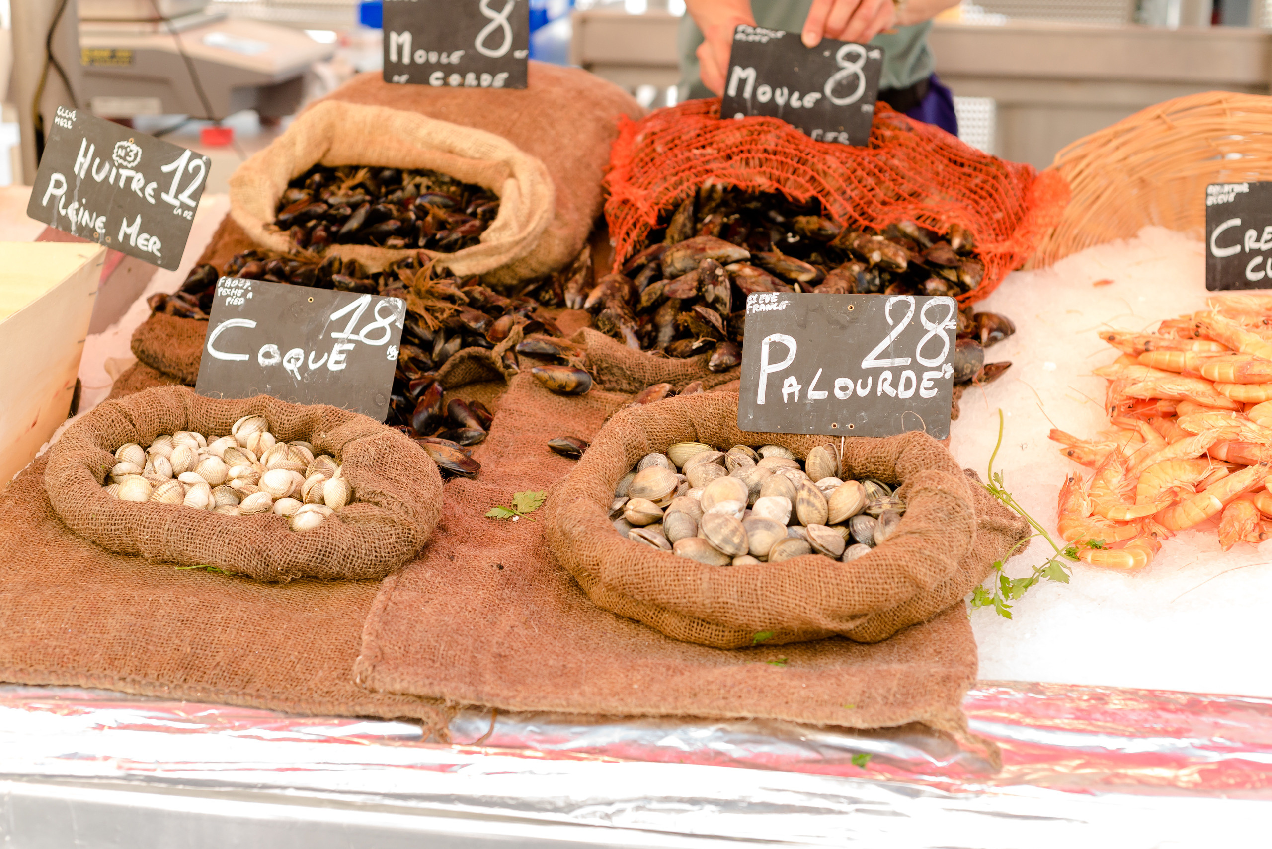 One day in Nice. Family H&T. MARIA VALUEVA Photographer in Nice, Cannes, Monaco, France, Europe, Istanbul, Turkey