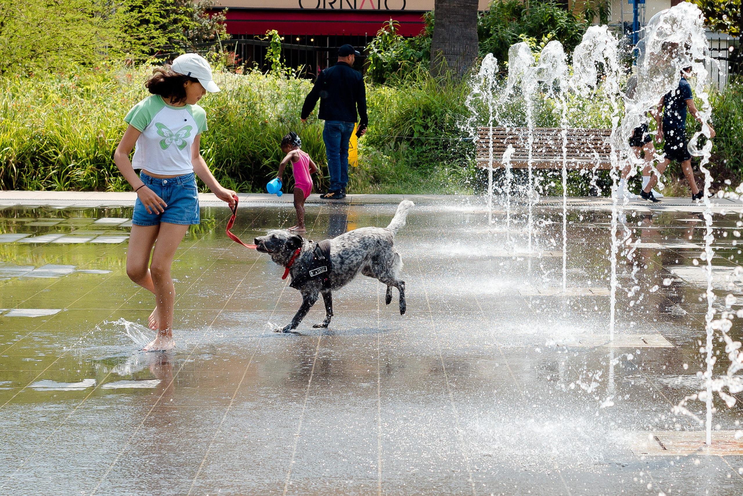 One day in Nice. Family H&T. MARIA VALUEVA Photographer in Nice, Cannes, Monaco, France, Europe, Istanbul, Turkey