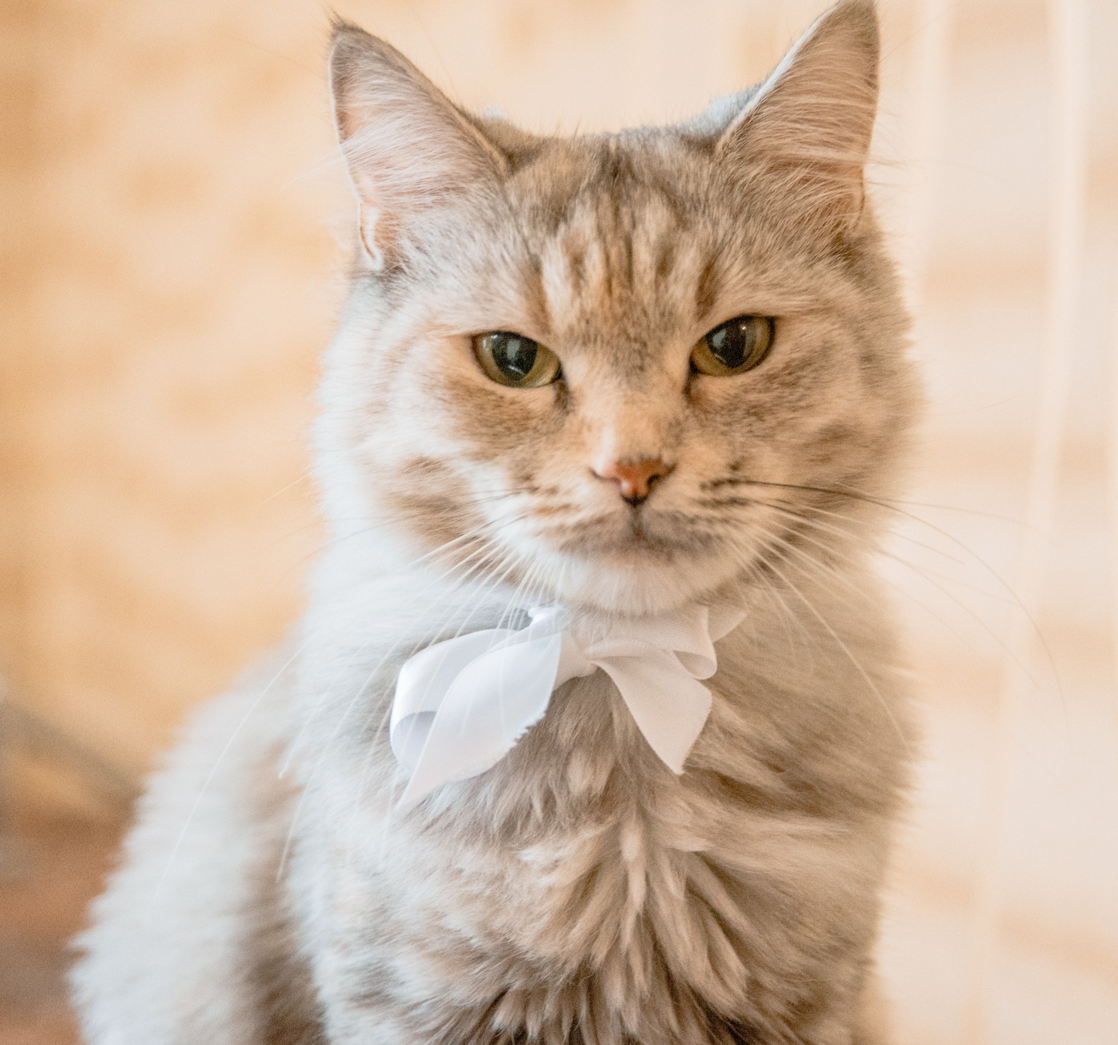 L&S. MARIA VALUEVA Photographer in Nice, Cannes, Monaco, France, Europe, Istanbul, Turkey