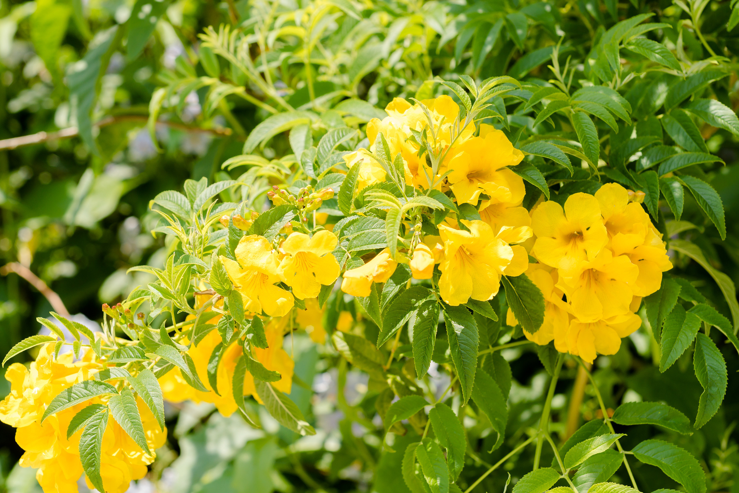 One day in Nice. Family H&T. MARIA VALUEVA Photographer in Nice, Cannes, Monaco, France, Europe, Istanbul, Turkey