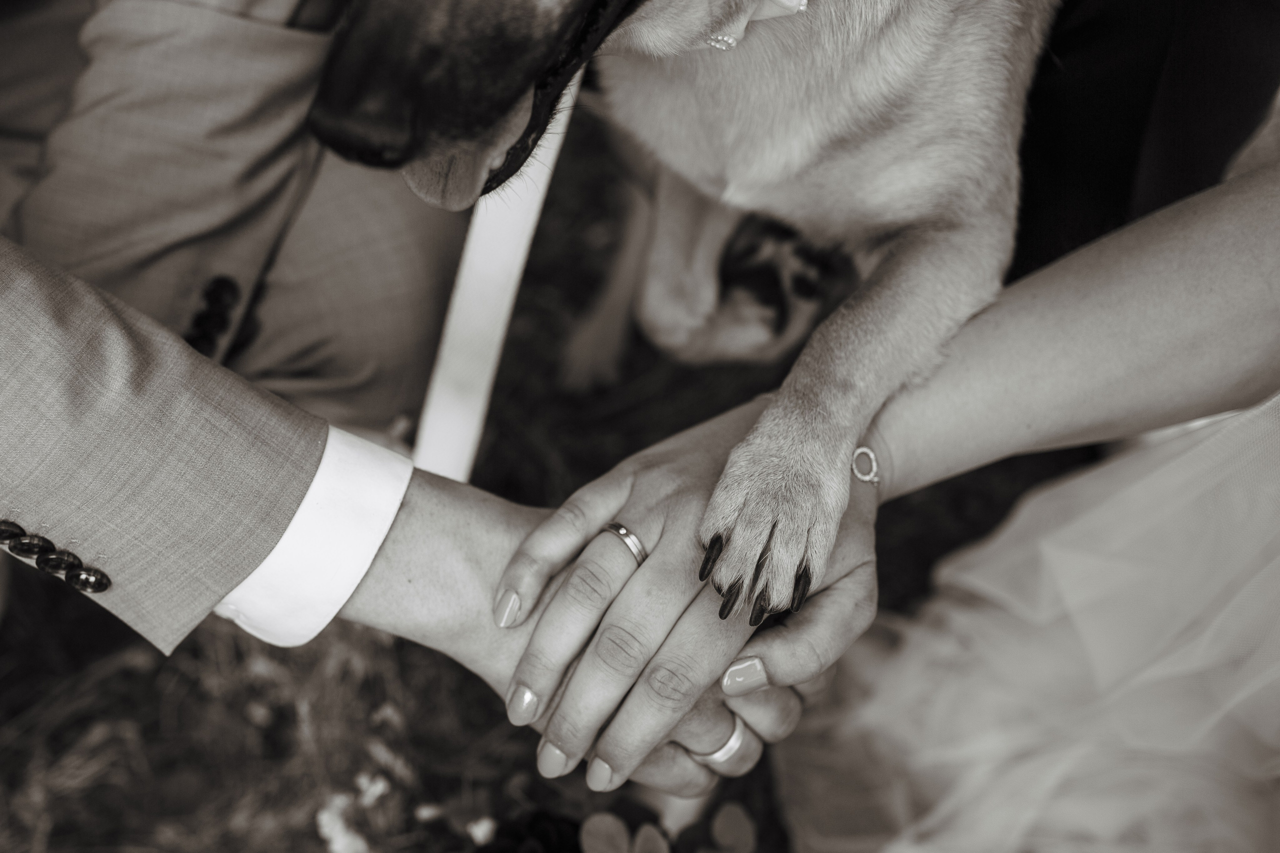 Photo & Make-up Galina Neuberger. Fotografin & Vigasistin aus Bohmte