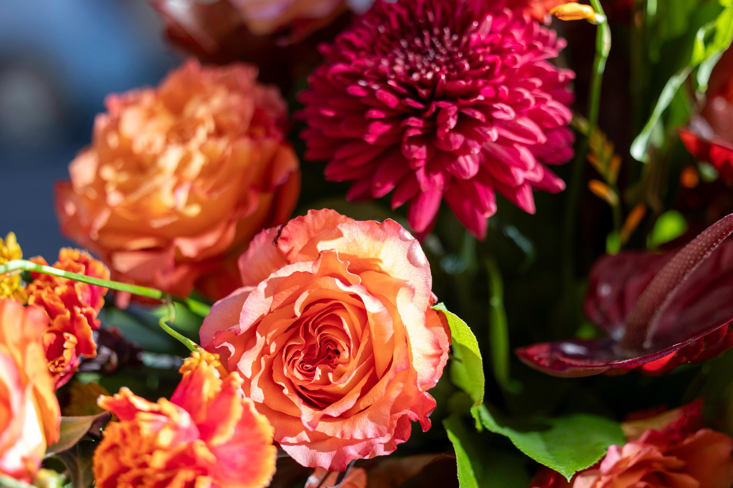 Krans i forårsfarver til begravelse – Akropolis BlomsterÆr din kære med en smuk krans i forårsfarver fra Akropolis Blomster. Vi tilbyder friske blomster i varme orange og lyse nuancer, der symboliserer forårets håb og fornyelse. Bestil din krans i forårsfarver til begravelse i dag, og få den leveret i Aarhus og omegn.