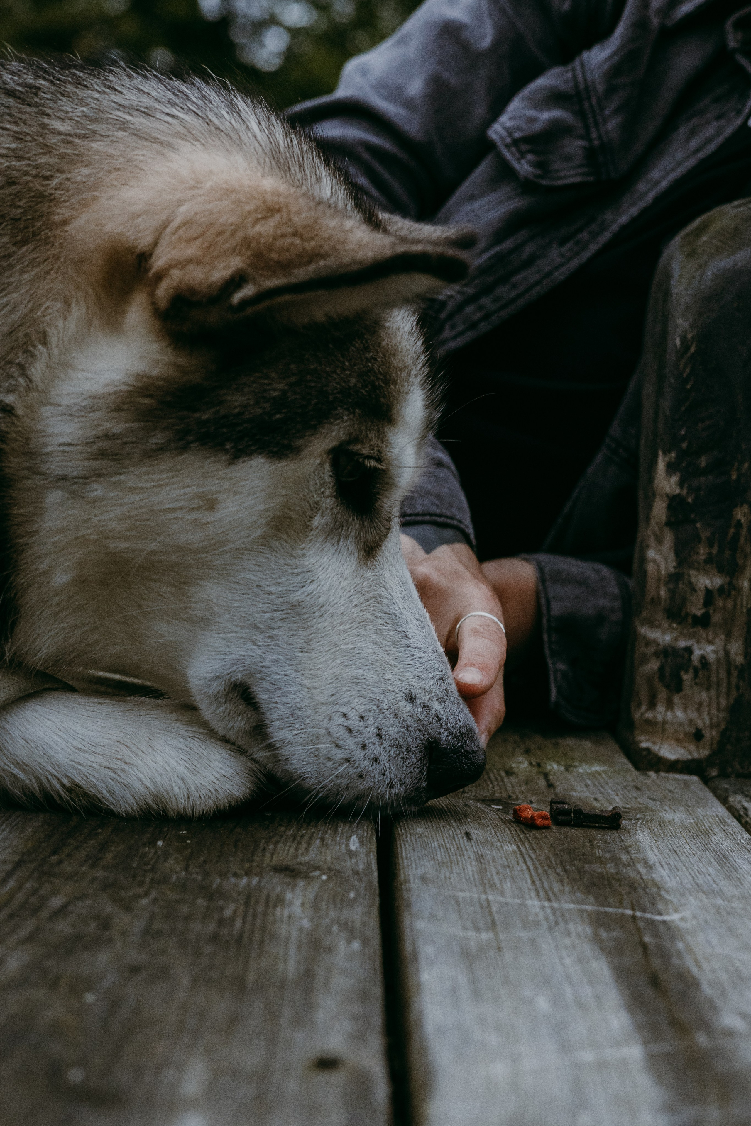 Oksana. Iryna Zhyvora | Photographer | Stockholm