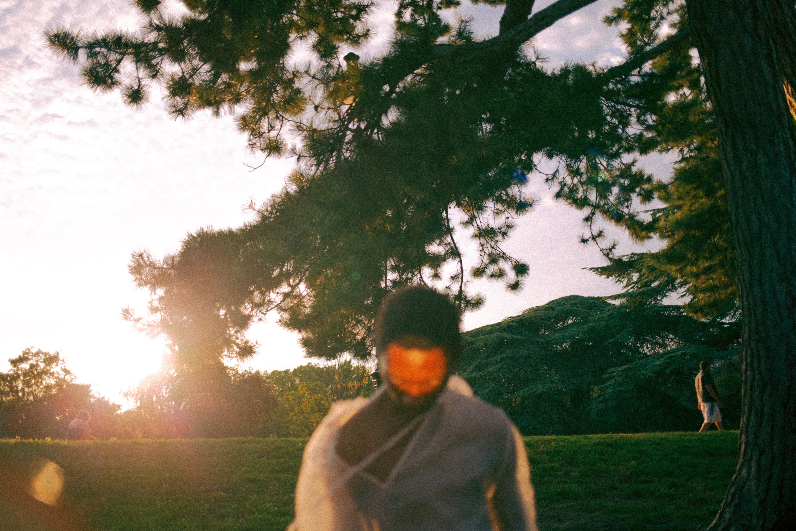 A person standing in the park with the sun shining behind them