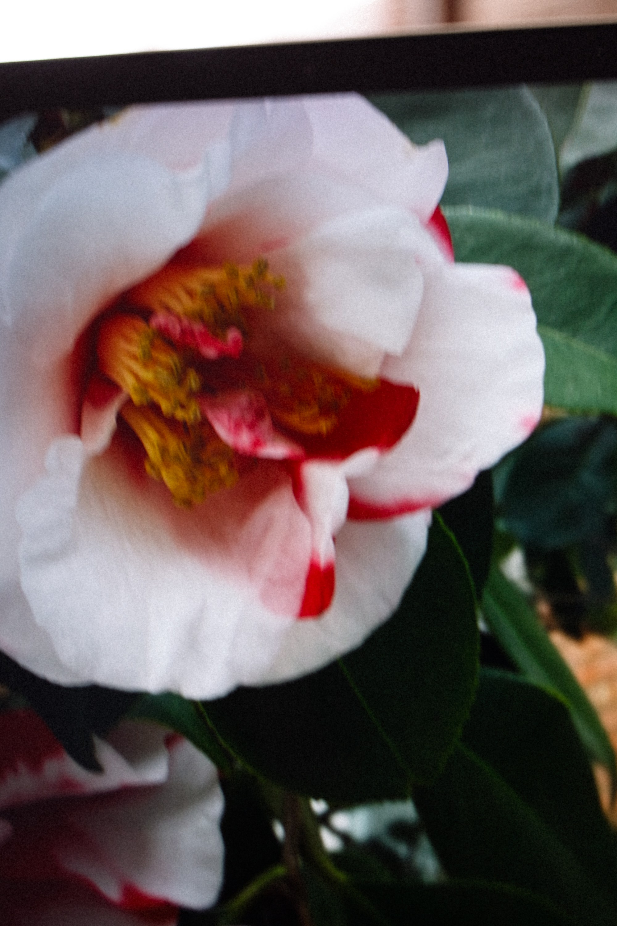 Artists, Painters & Poets | Visual Storytelling and Creative Portraits. Marina Kálcheva — Photographer, Videographer & Visual Artist in Barcelona