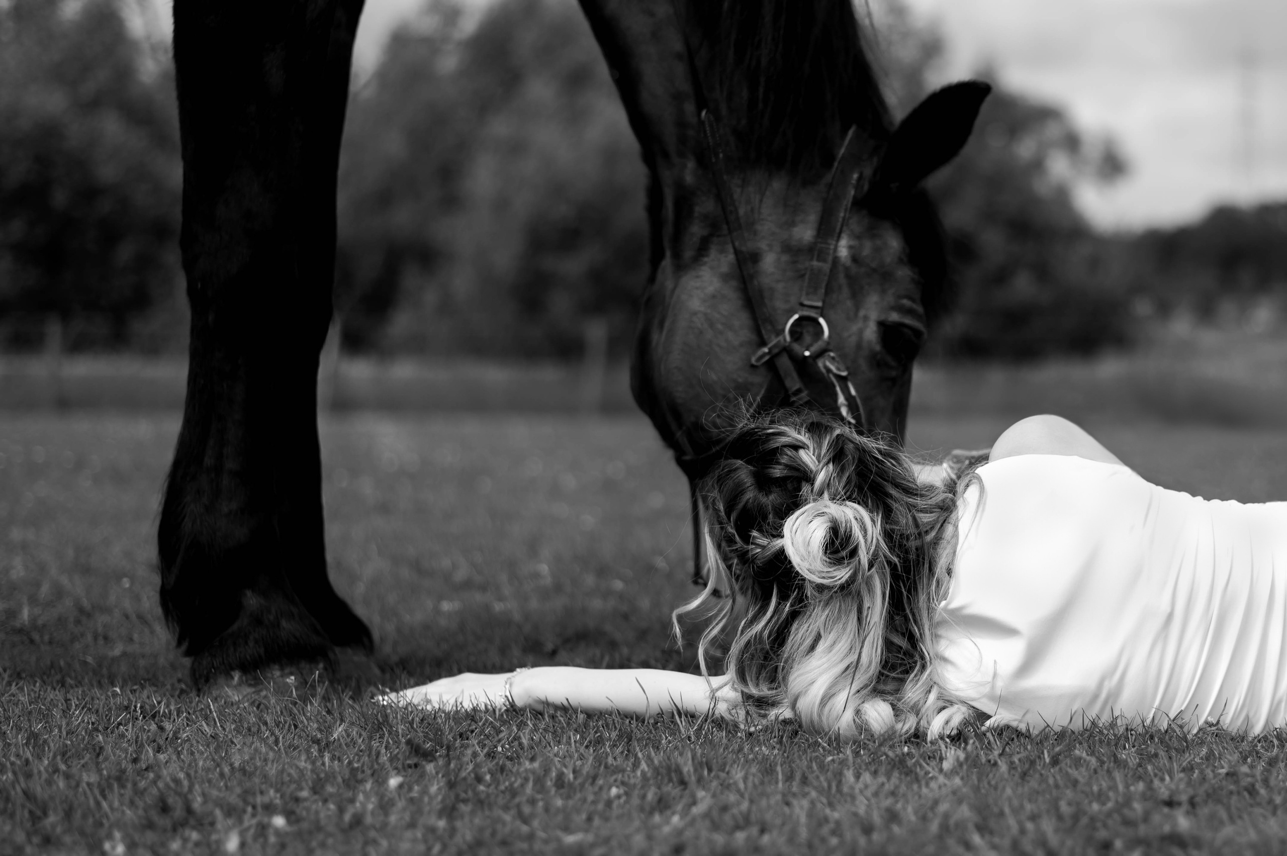 Photoshoot with Horses. Professional Photograher, Antwerpen/Belgium