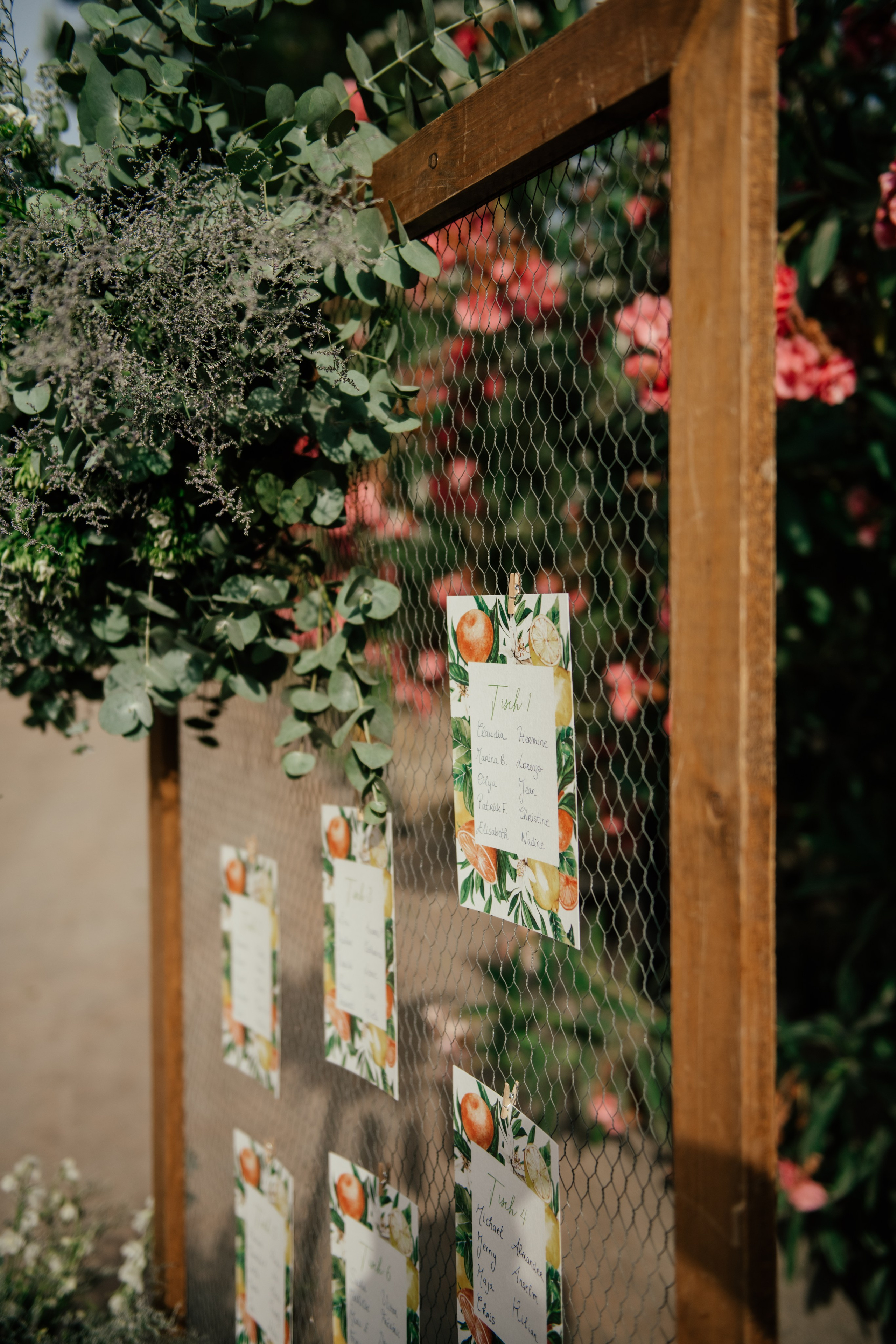 Alicia & Marc (Finca Marques de Montemolar)