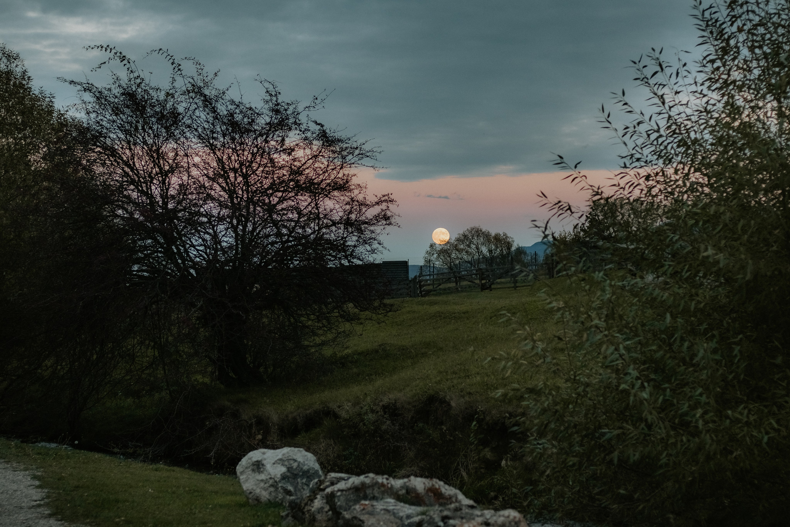 Razvan. Fotograf si videograf — evenimente si studio