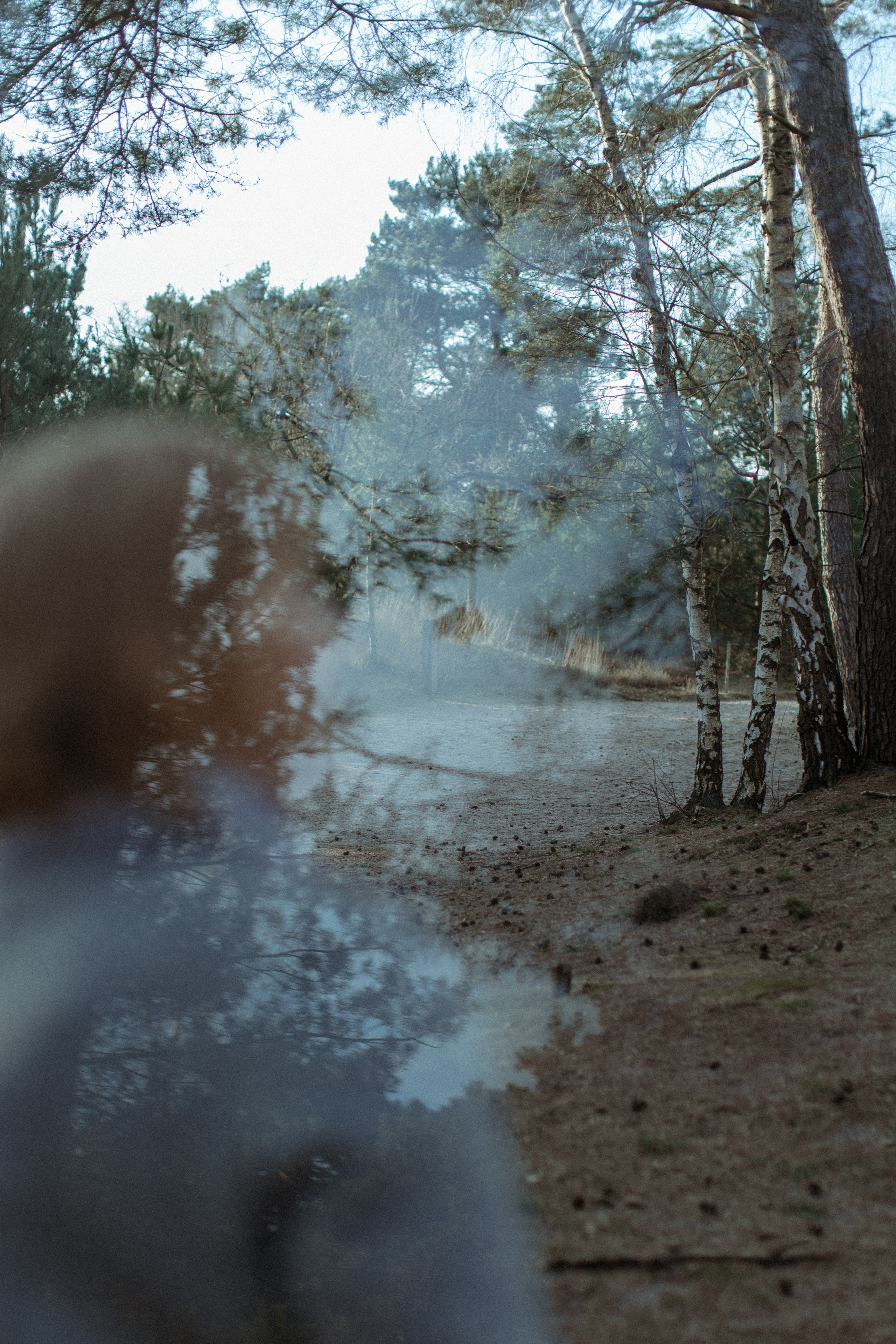 Portraits for Mom. True self