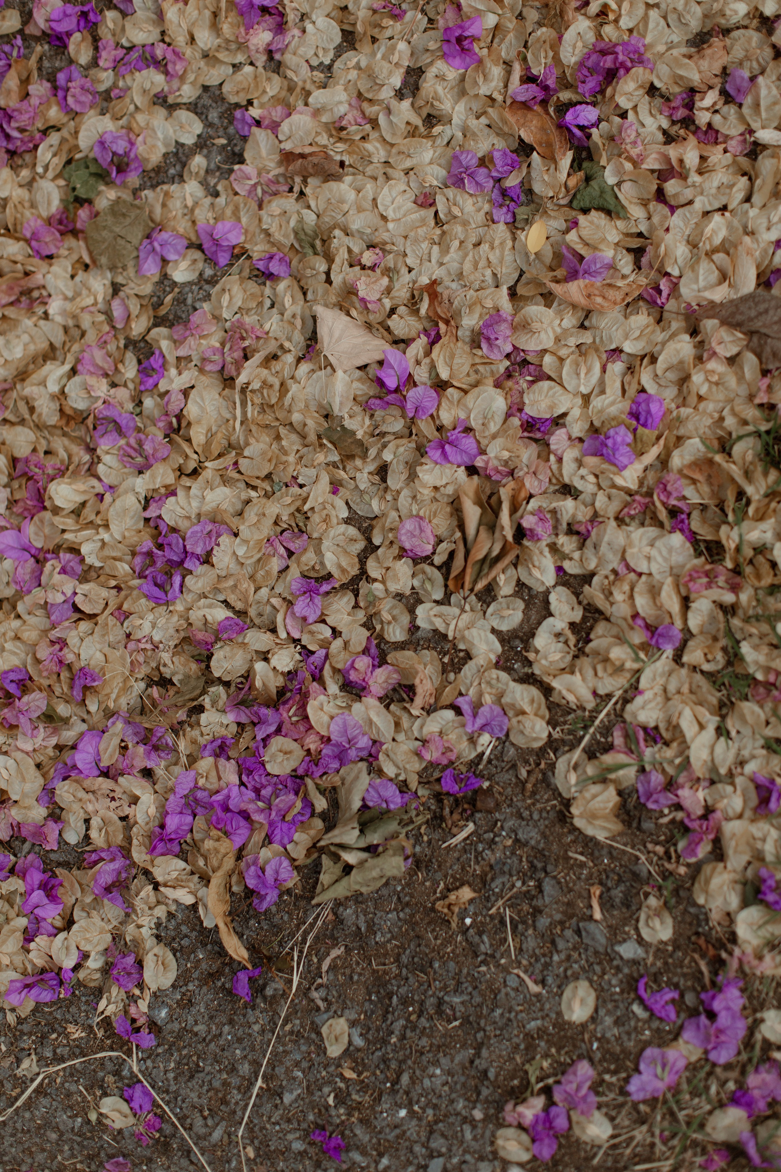 Татьяна. Отпуск на Принцевых островах. True self