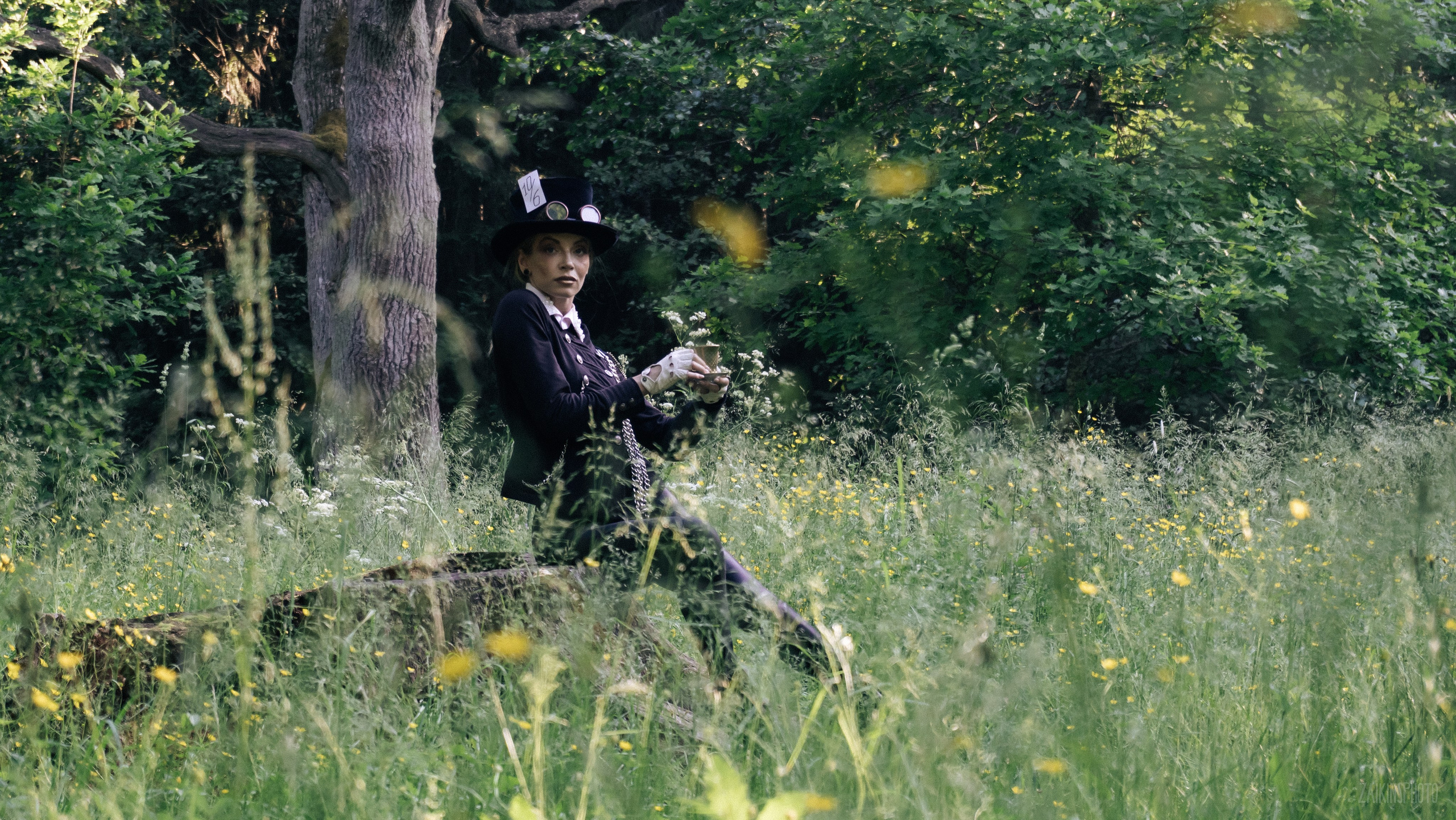 Alice In Wonderland. Main