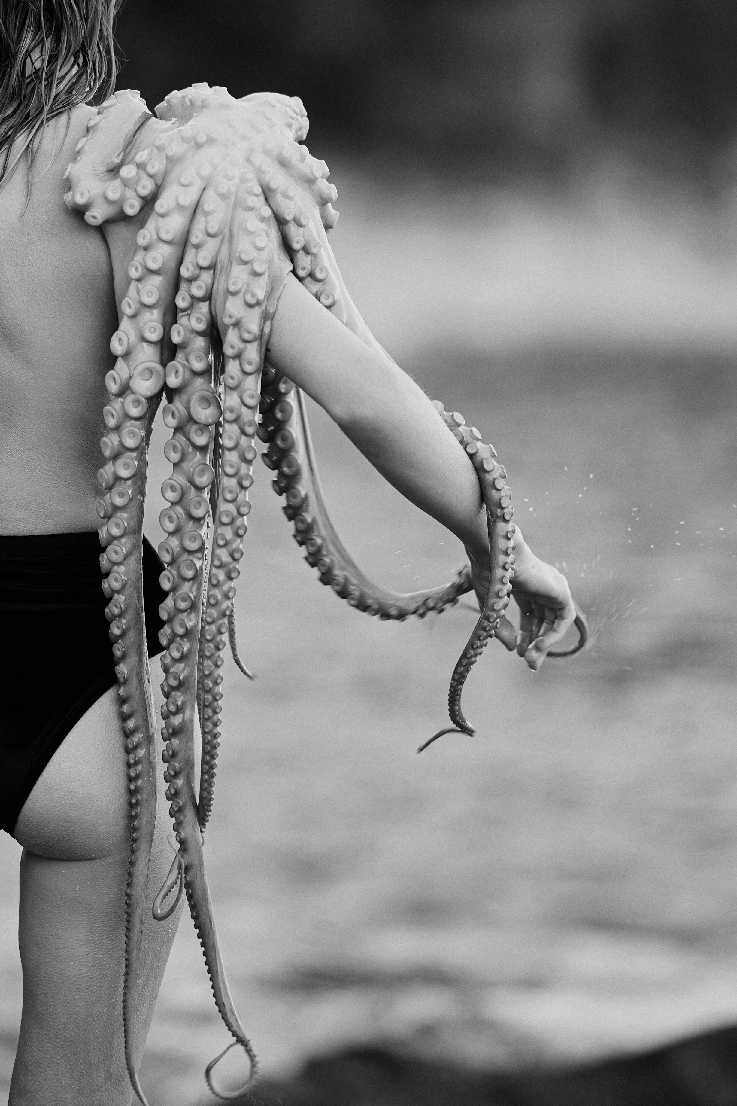 Pulpo. Фотограф в Барселоне Жанна Захарченко