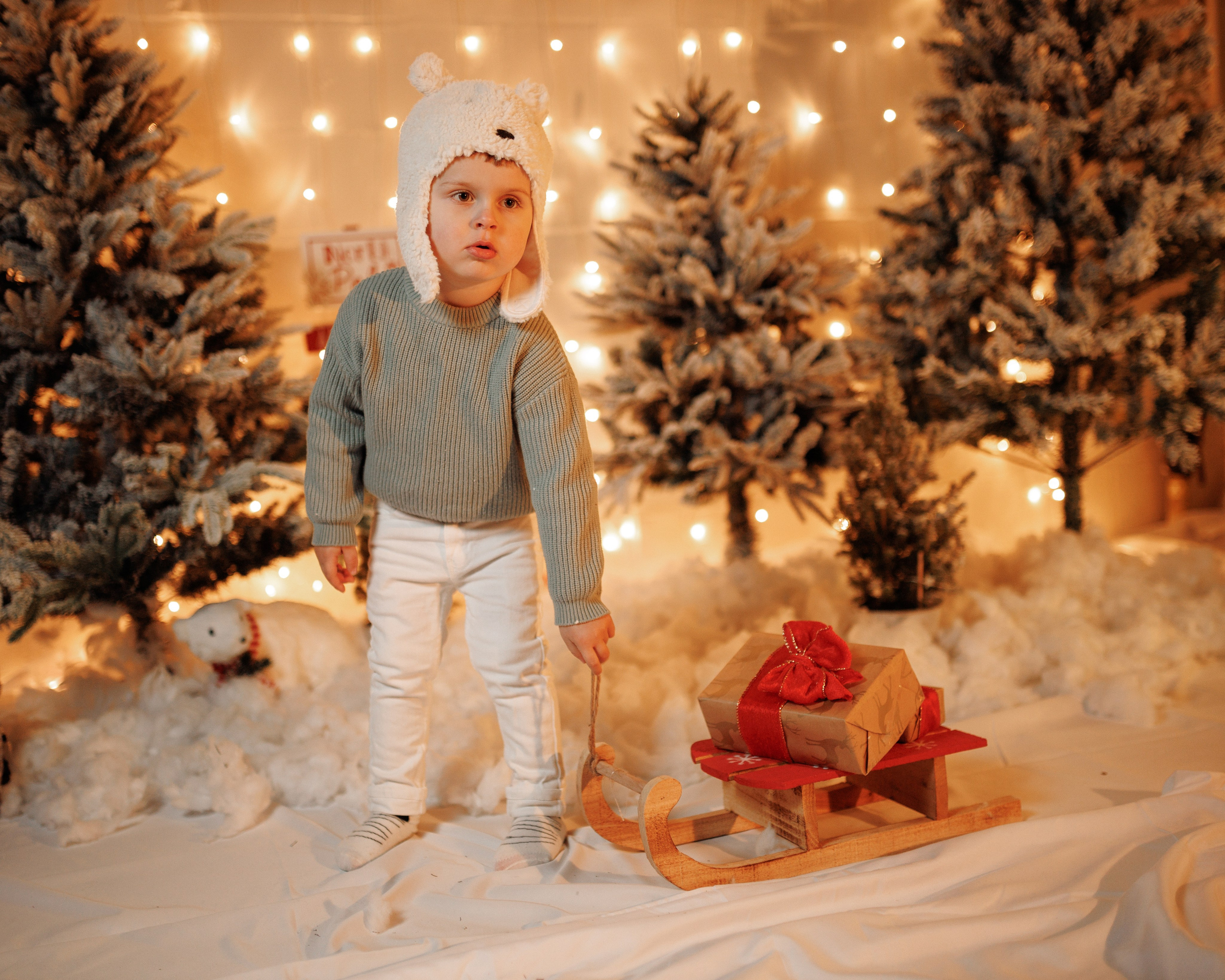 Christmas Time. Https://valphoto.wfolio.pro/