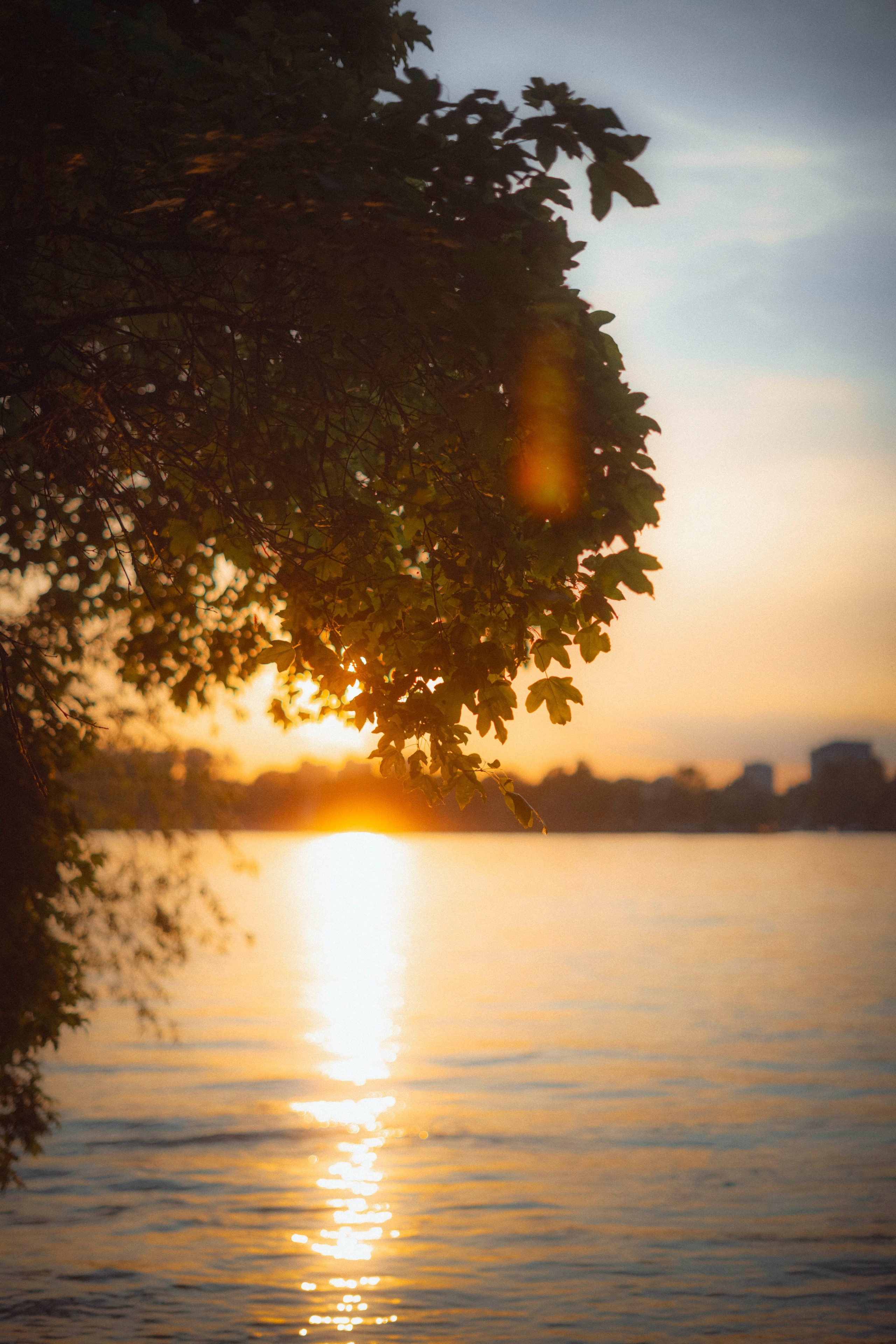 Sunset. Zhukov studio