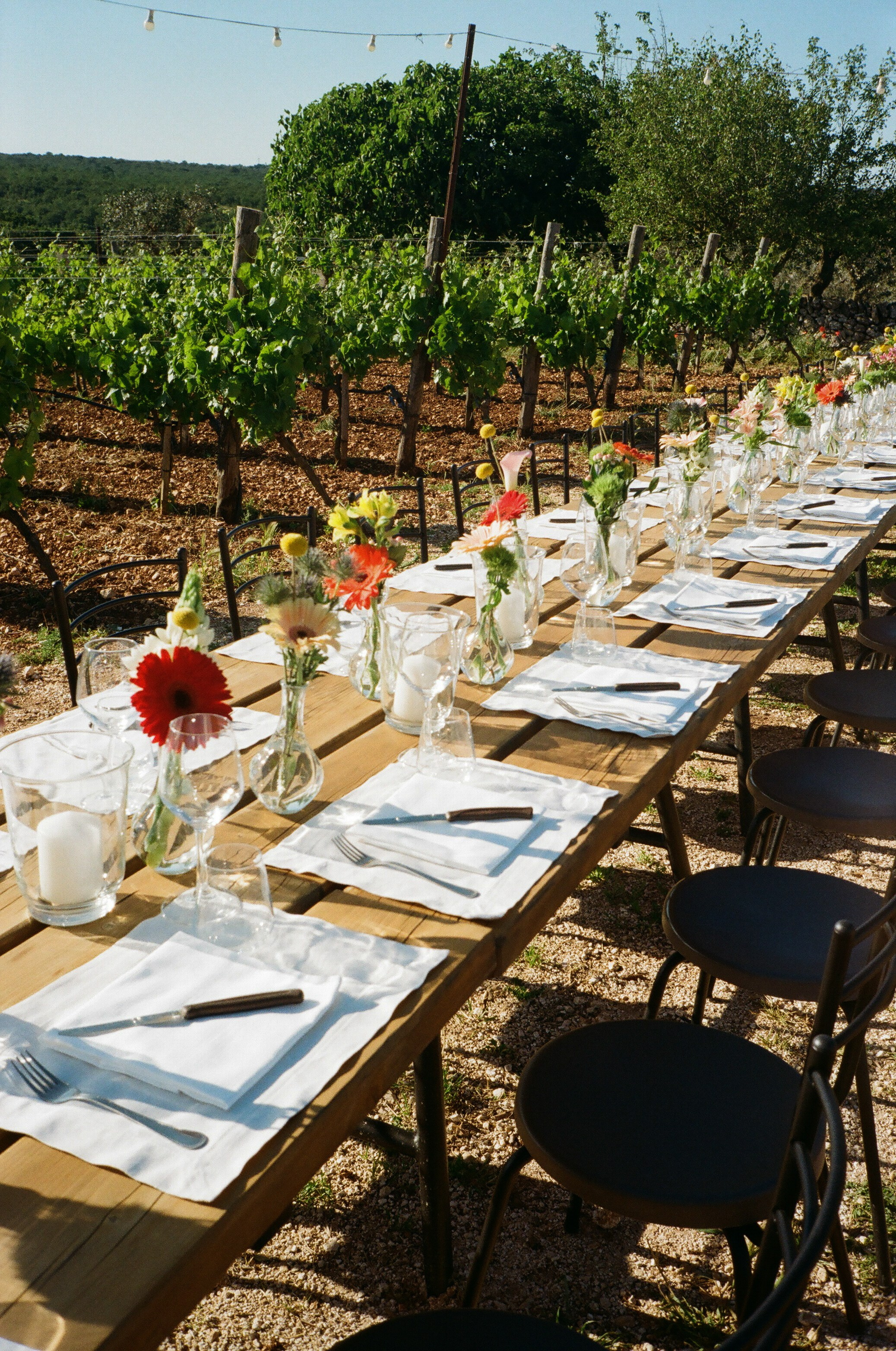 Stephanie & Christian film photos. Wedding photographer Italy