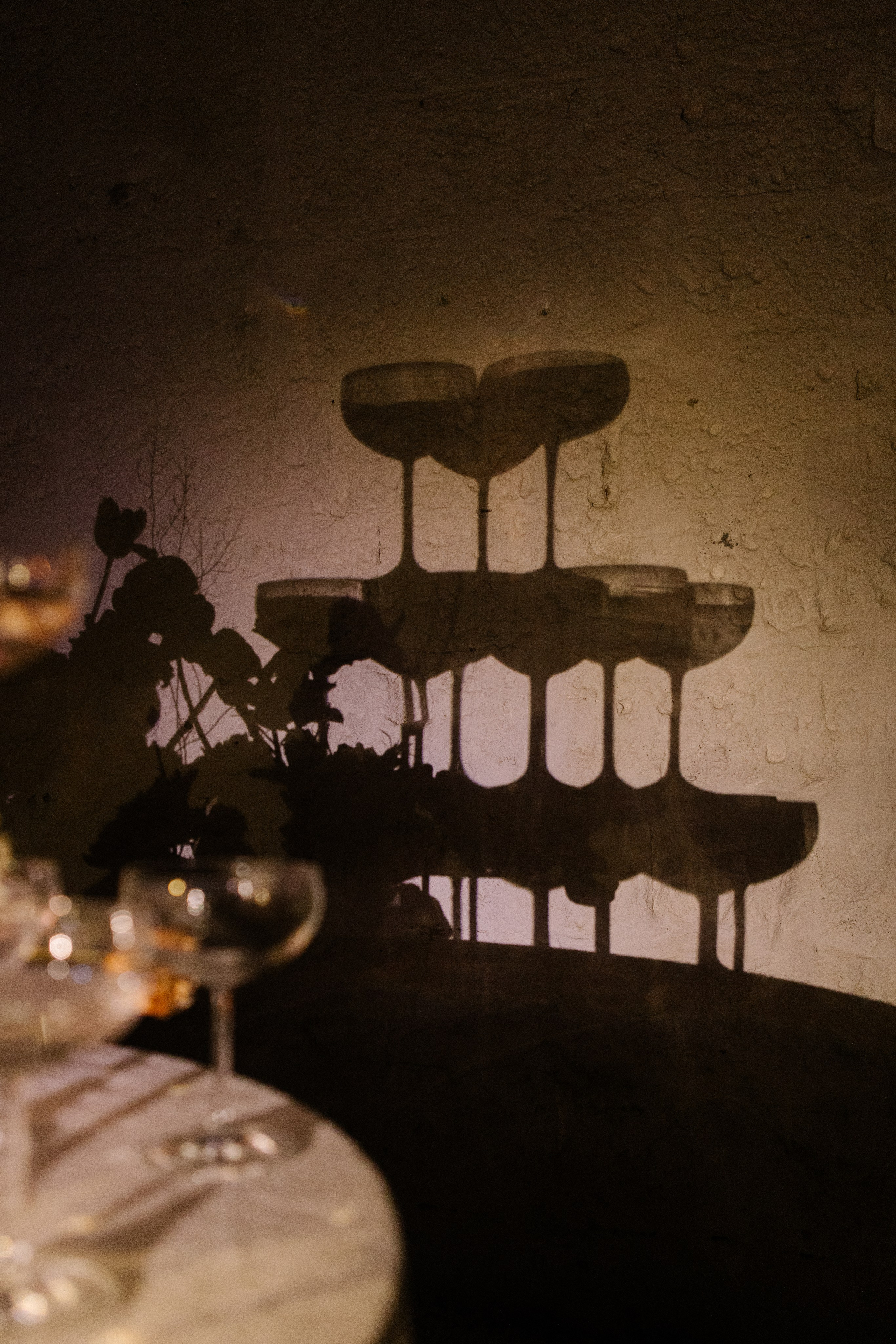 Alyssa&Sean. Весільний фотограф Вікторія Саврук