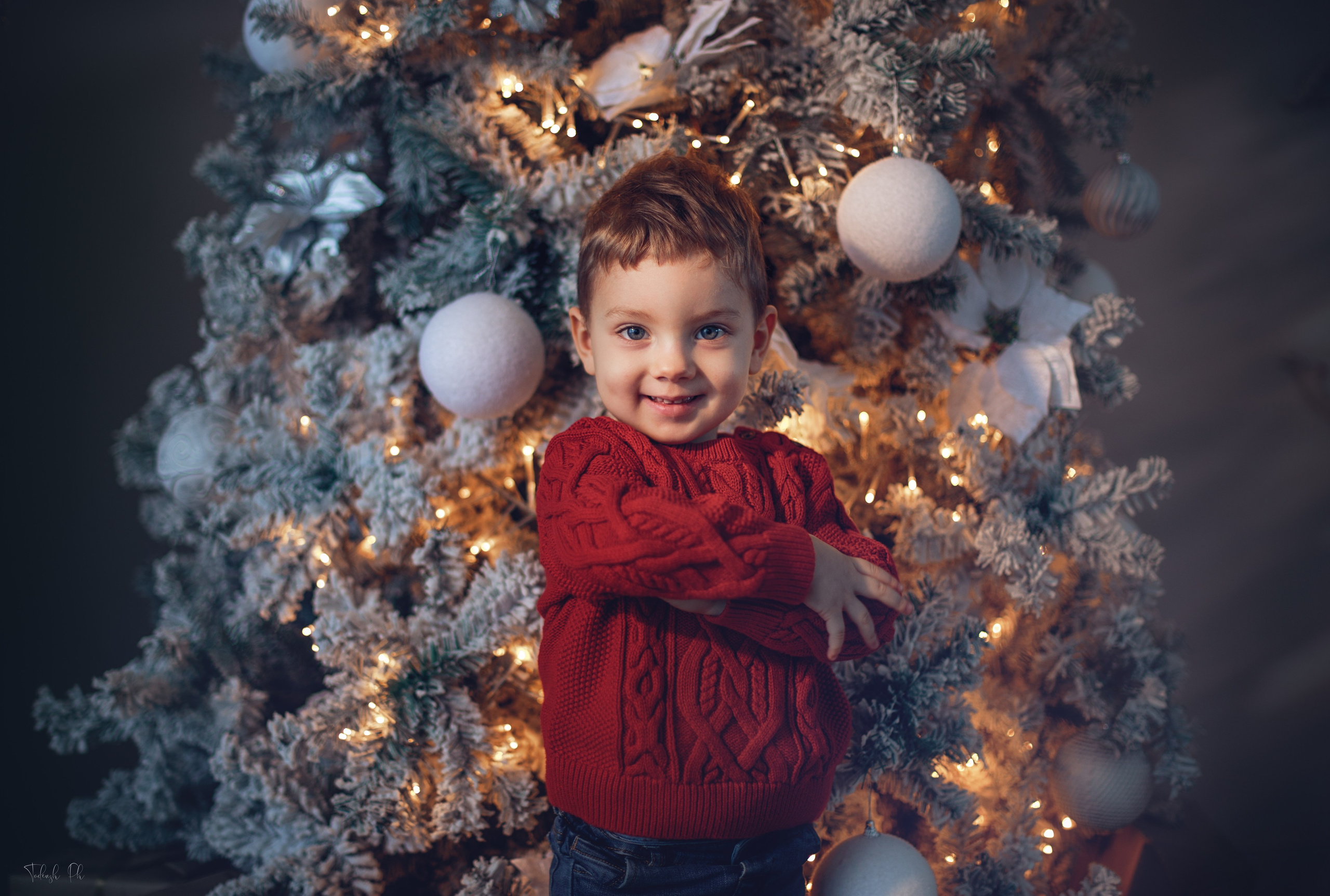 Christmas Time. Wedding, Family Photographer