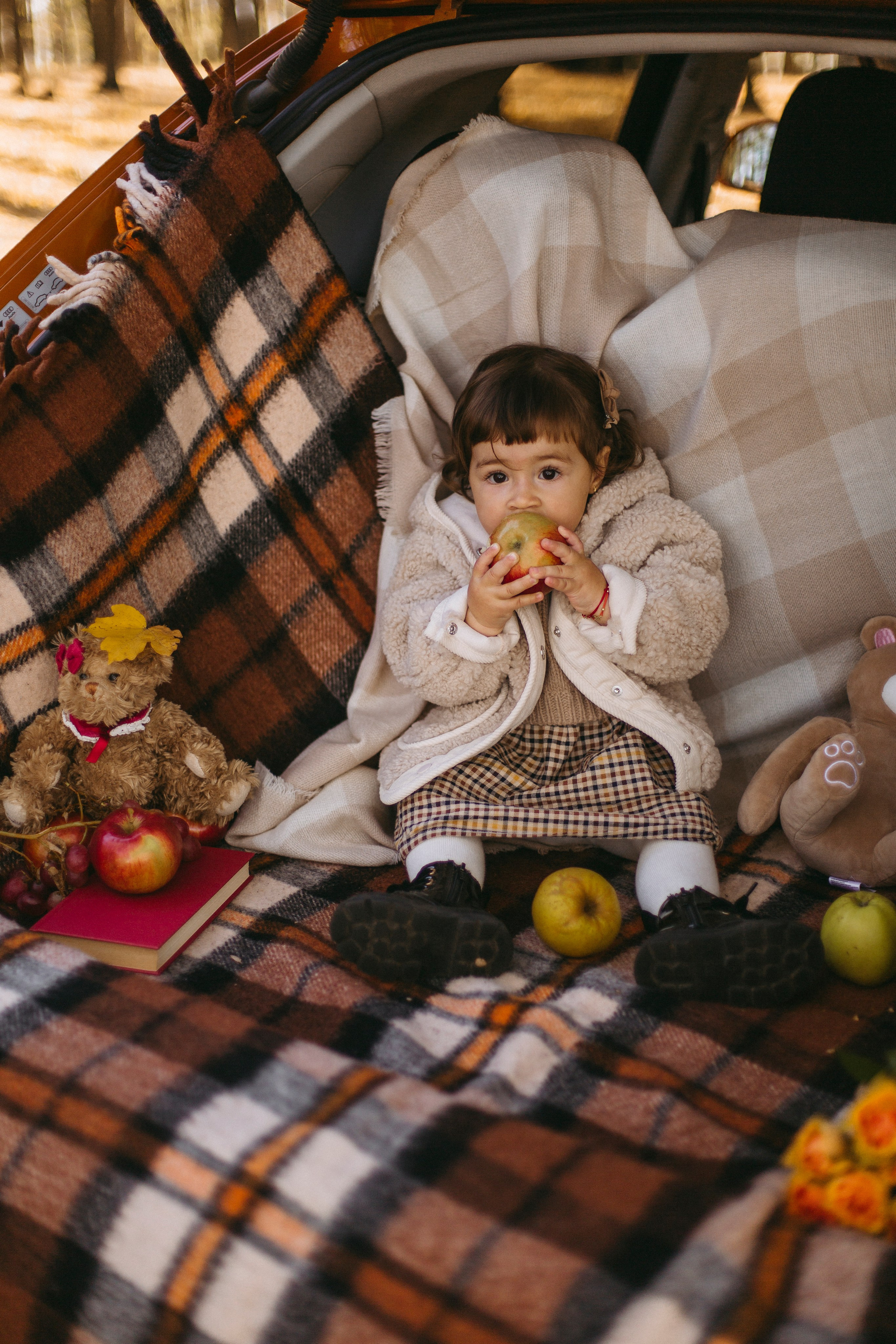 Pricop. Fotograf București, România