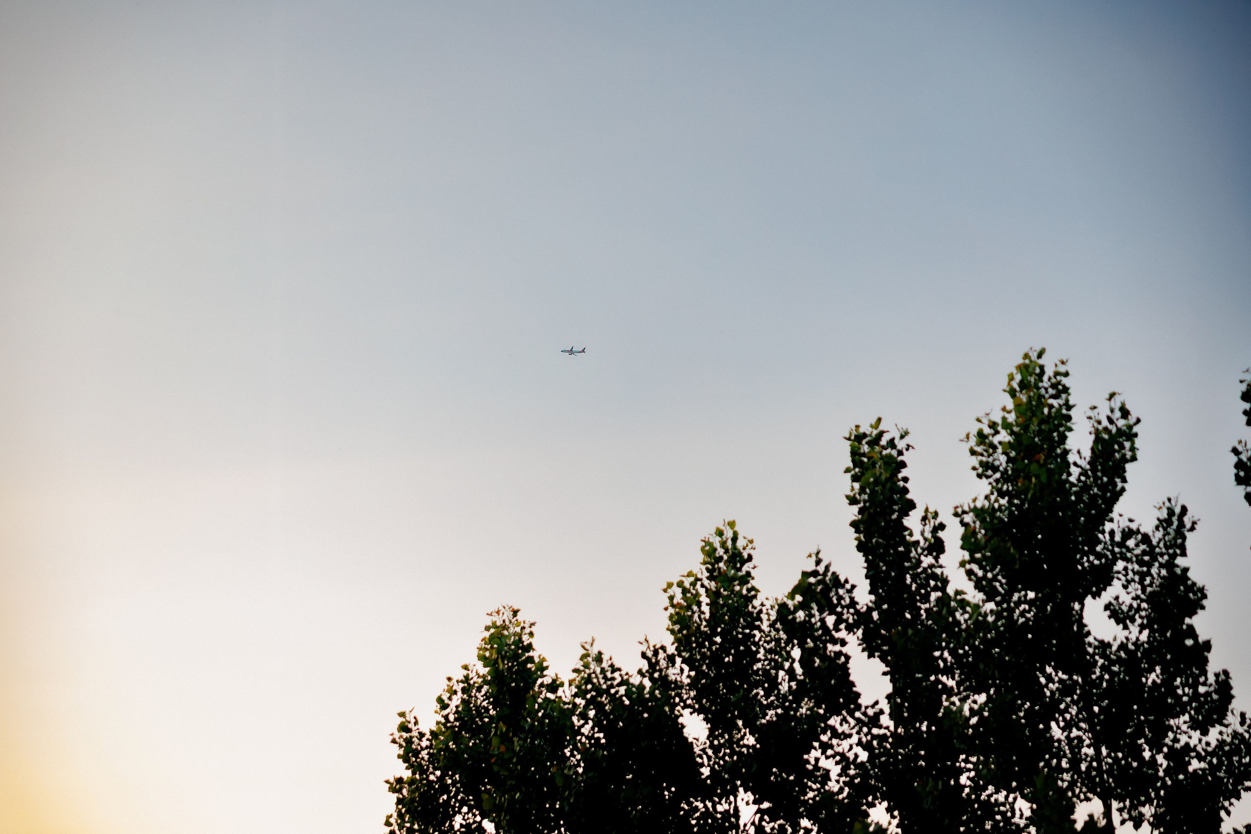 Florin & Corina — Complexul Turistic Costesti — Wedding Day. Servicii Foto și Video 067188353